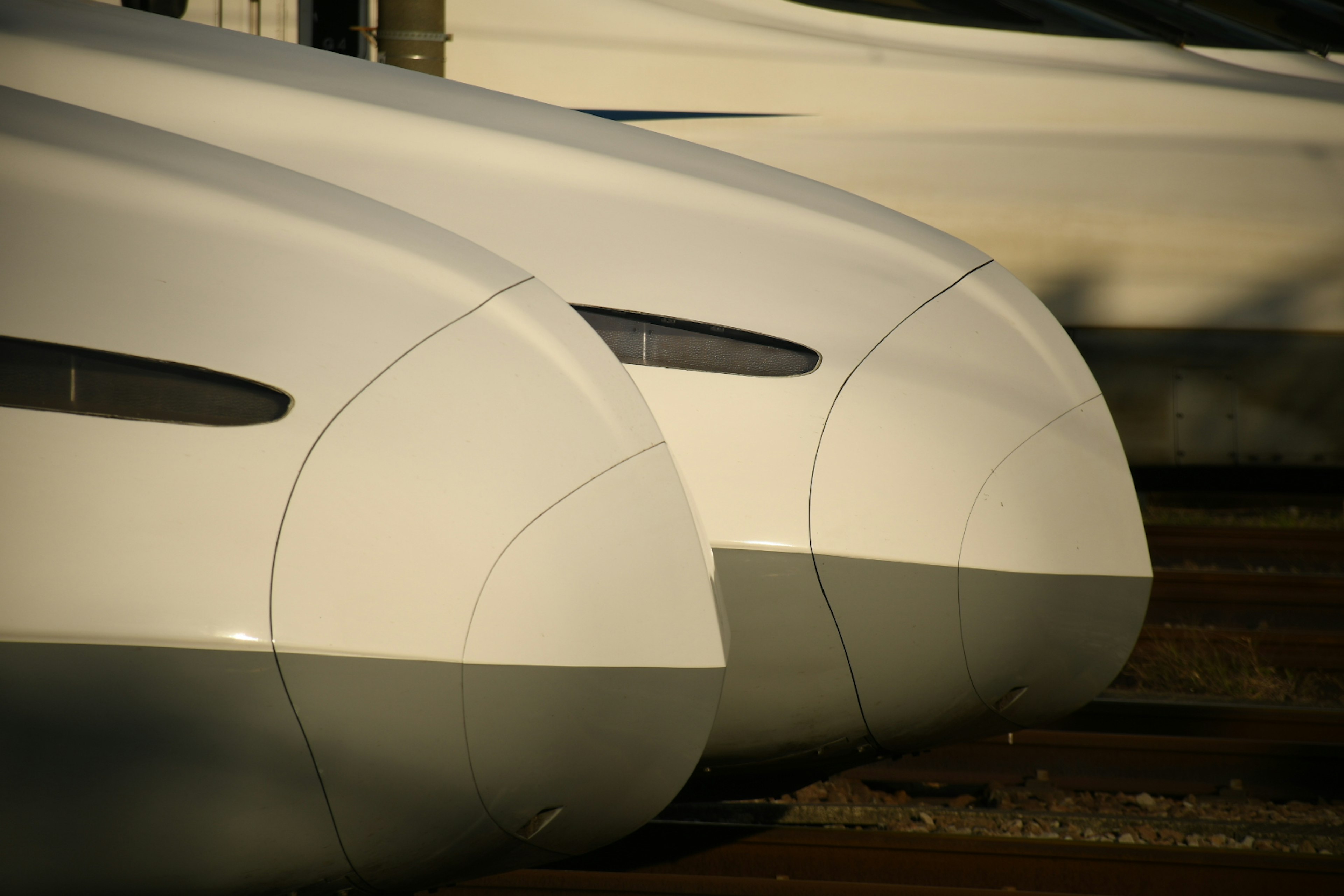 Close-up of two sleek white train noses side by side