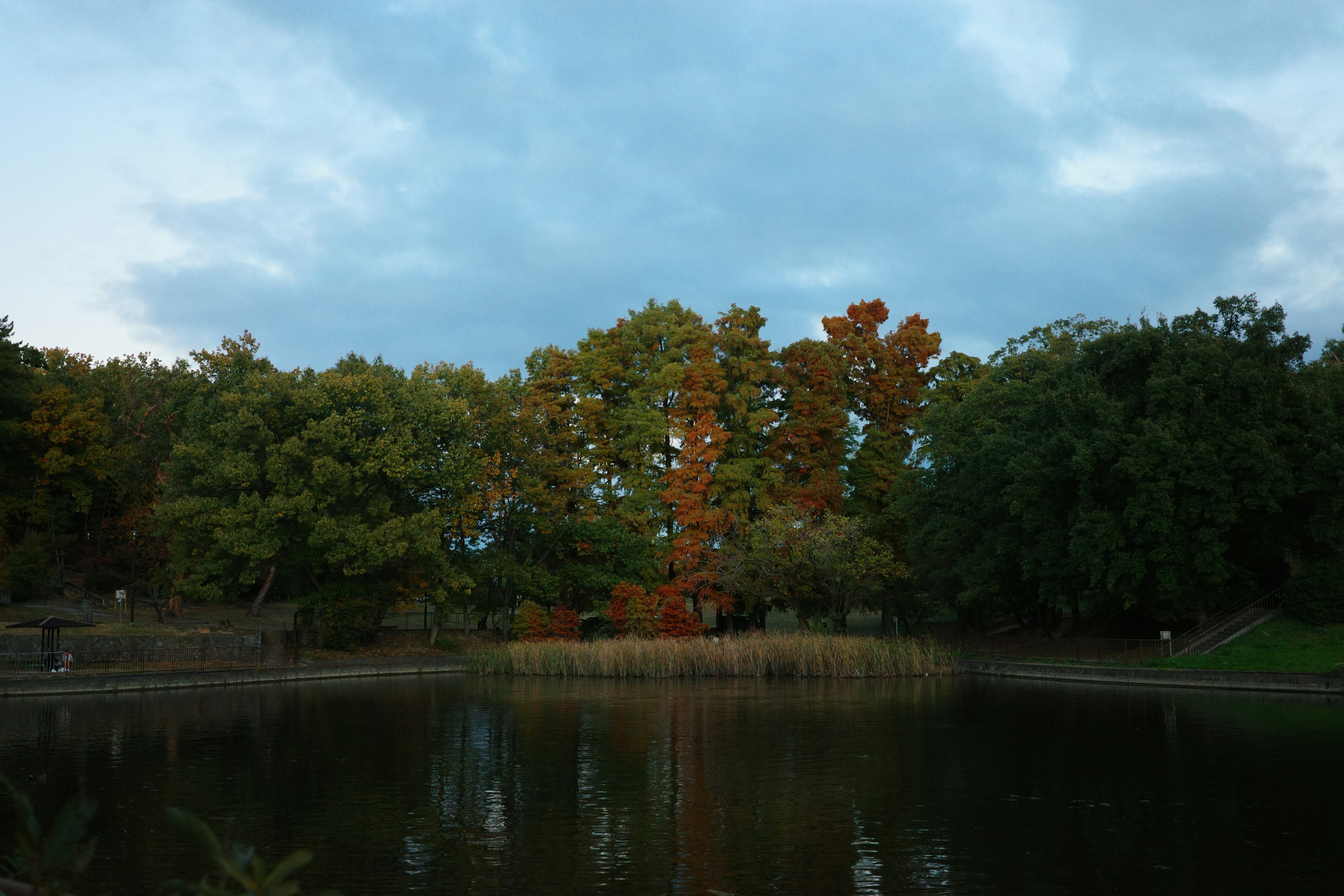 寧靜的公園，池塘和秋季色彩的樹木