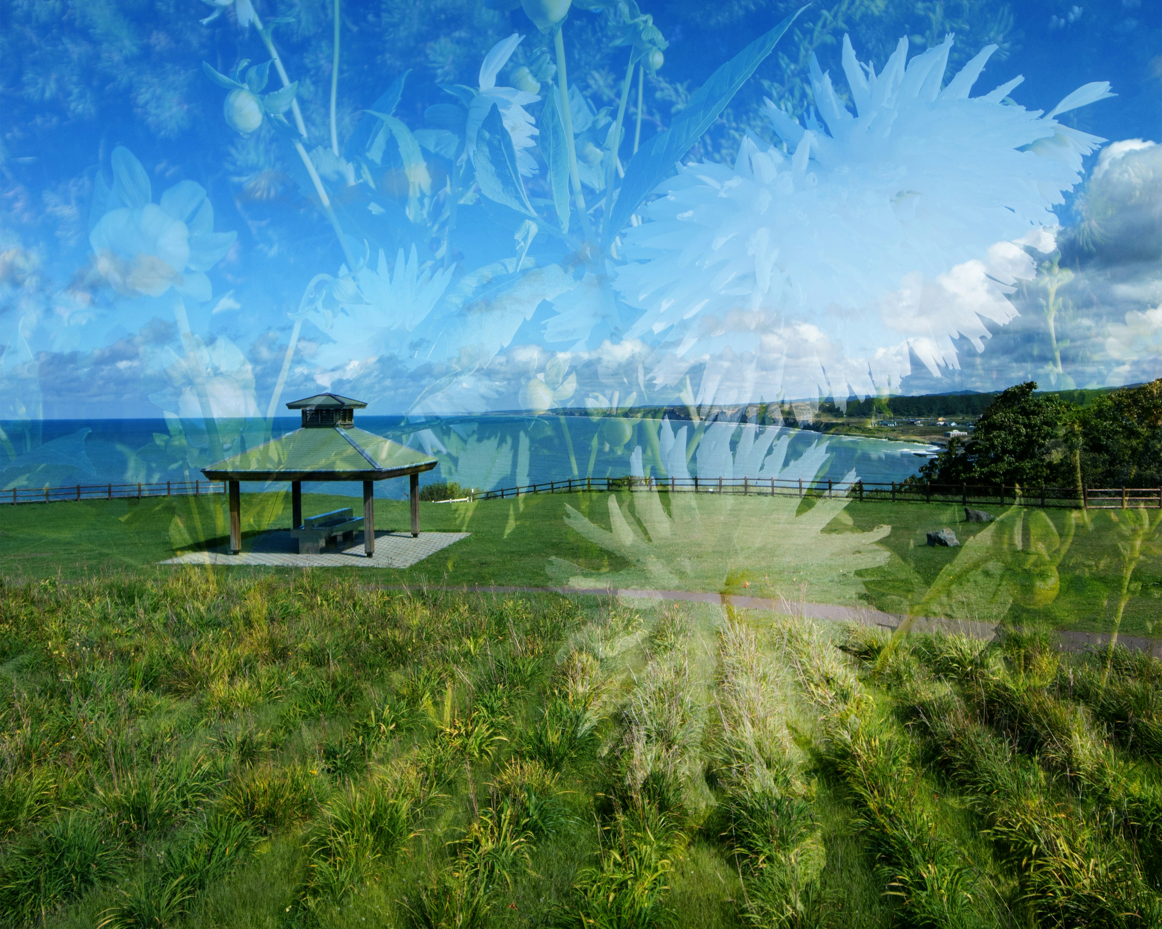 Überlagerung von Blumen mit blauem Himmel und Ozean im Hintergrund mit einem Pavillon