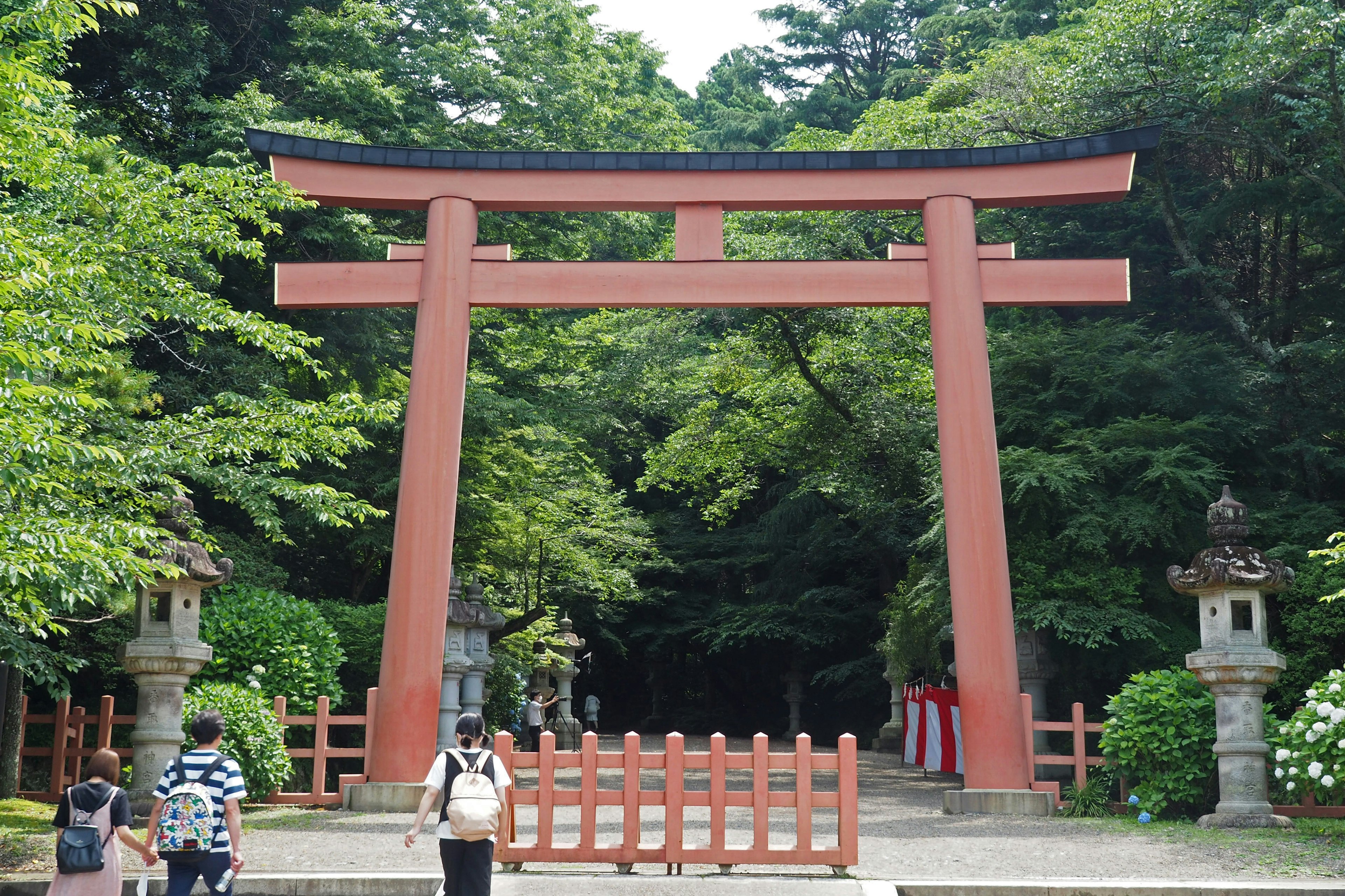 Cổng torii màu đỏ đứng trong rừng có người đi bộ gần đó