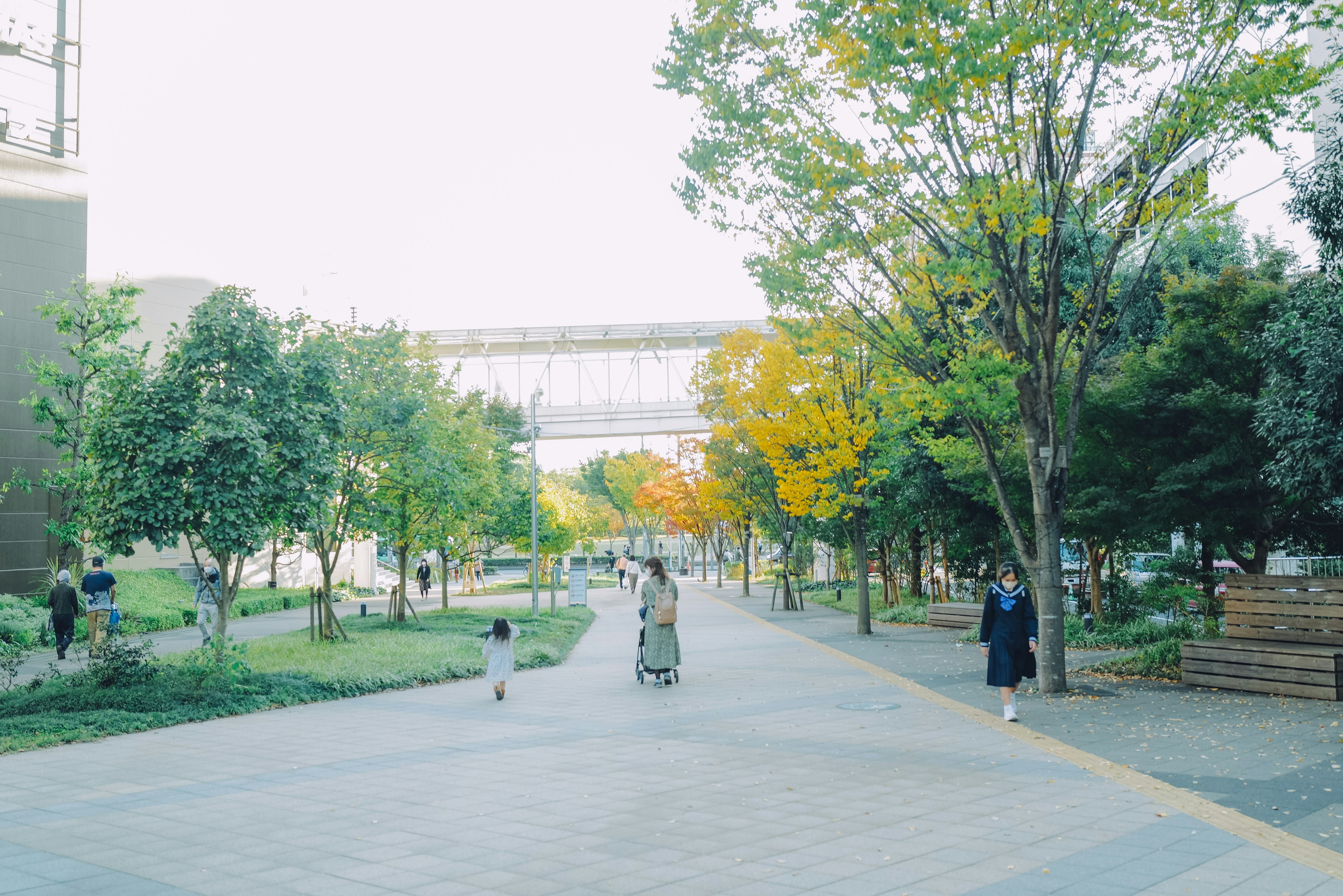 公園の通りに人々が歩いている緑と黄色の木々