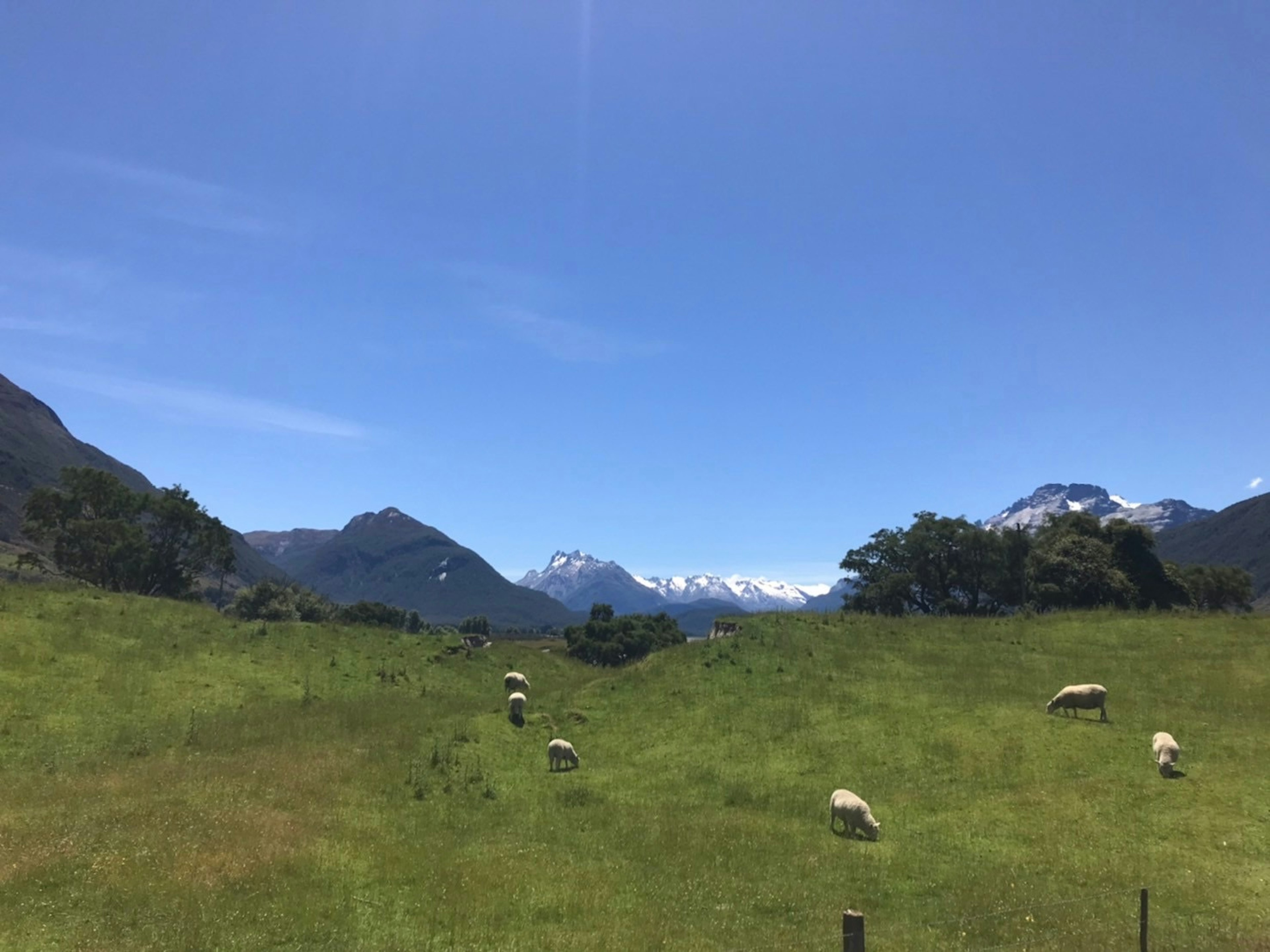 美しい山々と青空の下で草を食べる羊たちがいる緑の丘