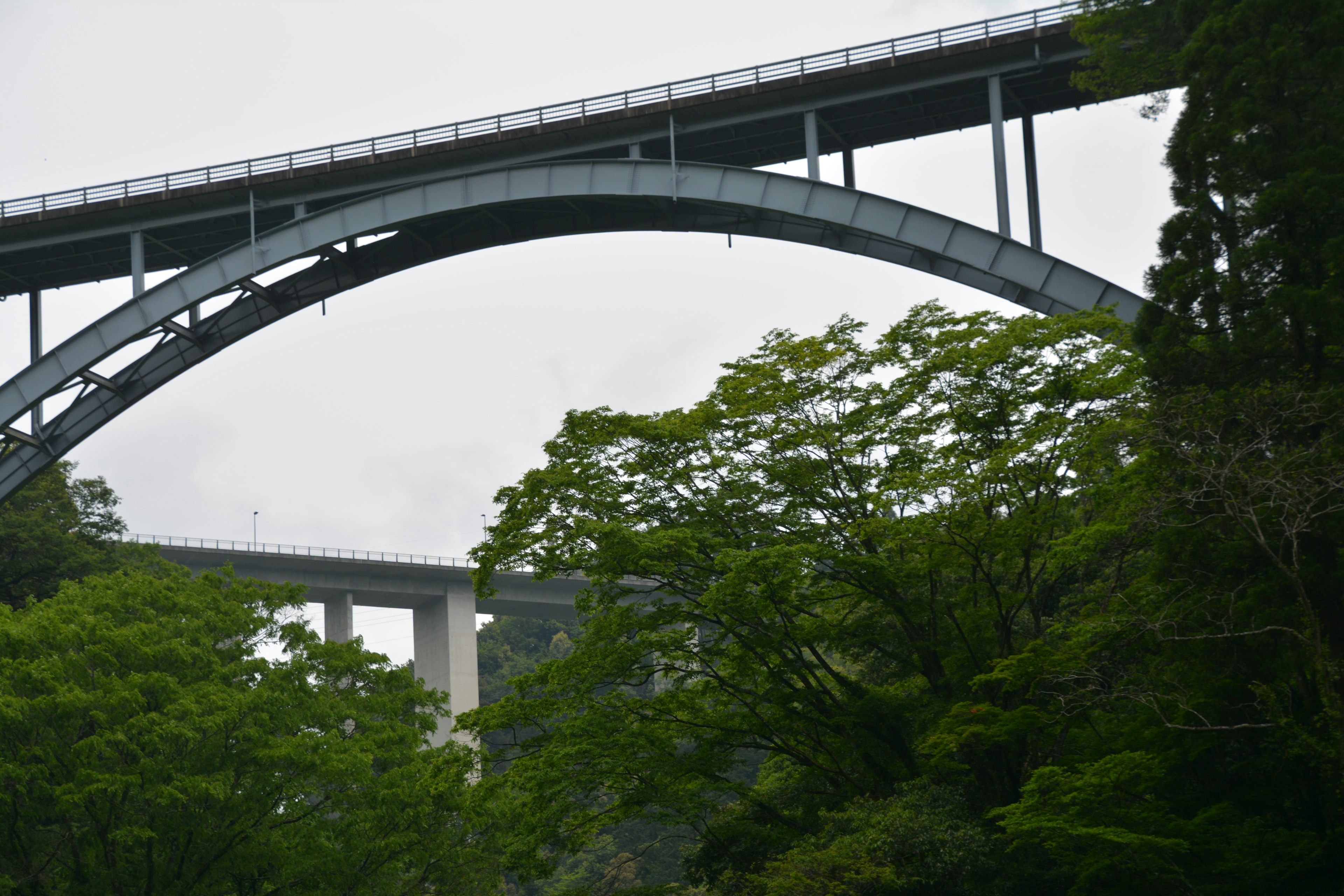 Arch bridge partially obscured by lush green trees