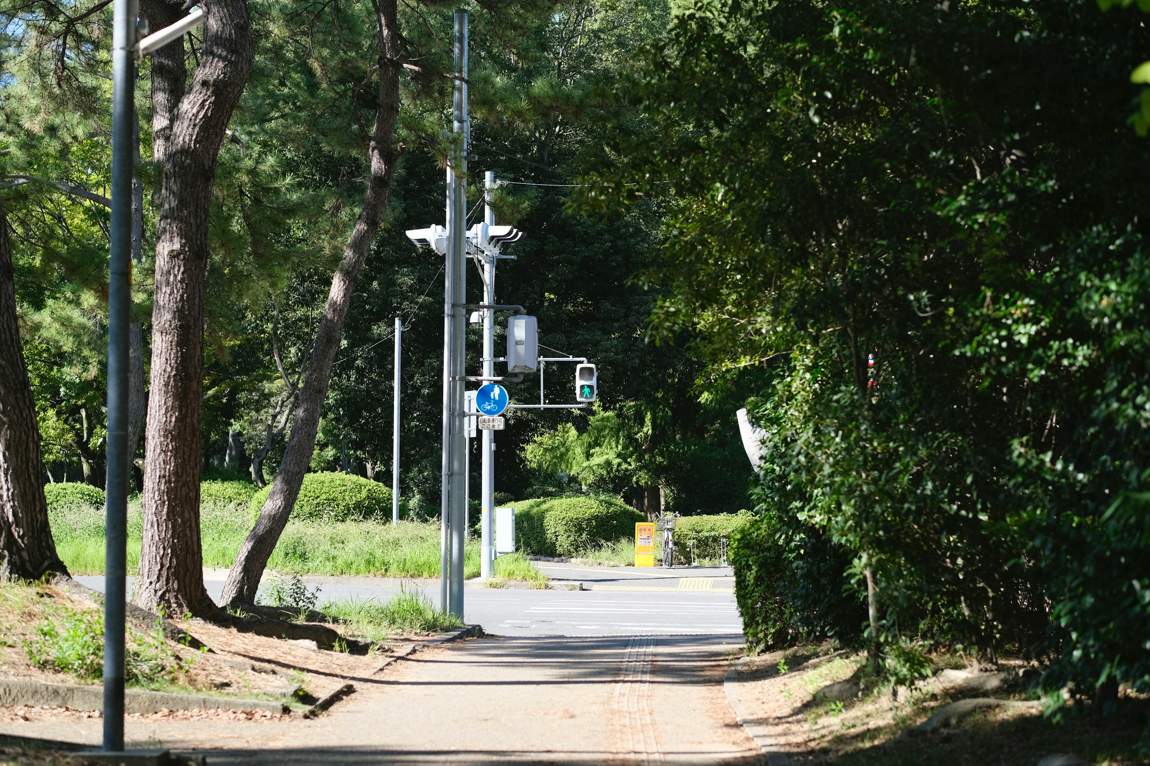 Pathway in a green park featuring streetlights and traffic signals