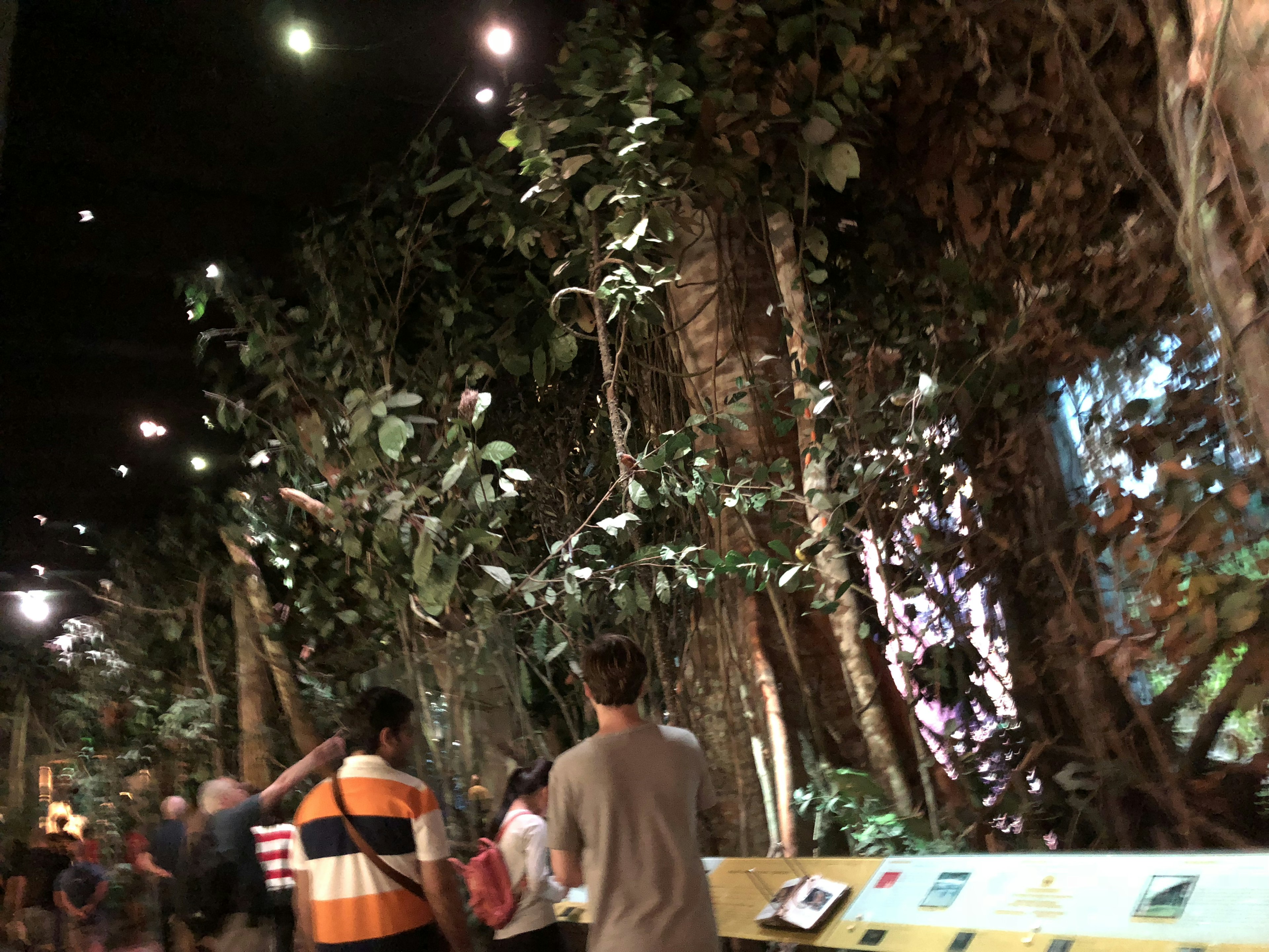 Indoor exhibition featuring lush trees and visitors