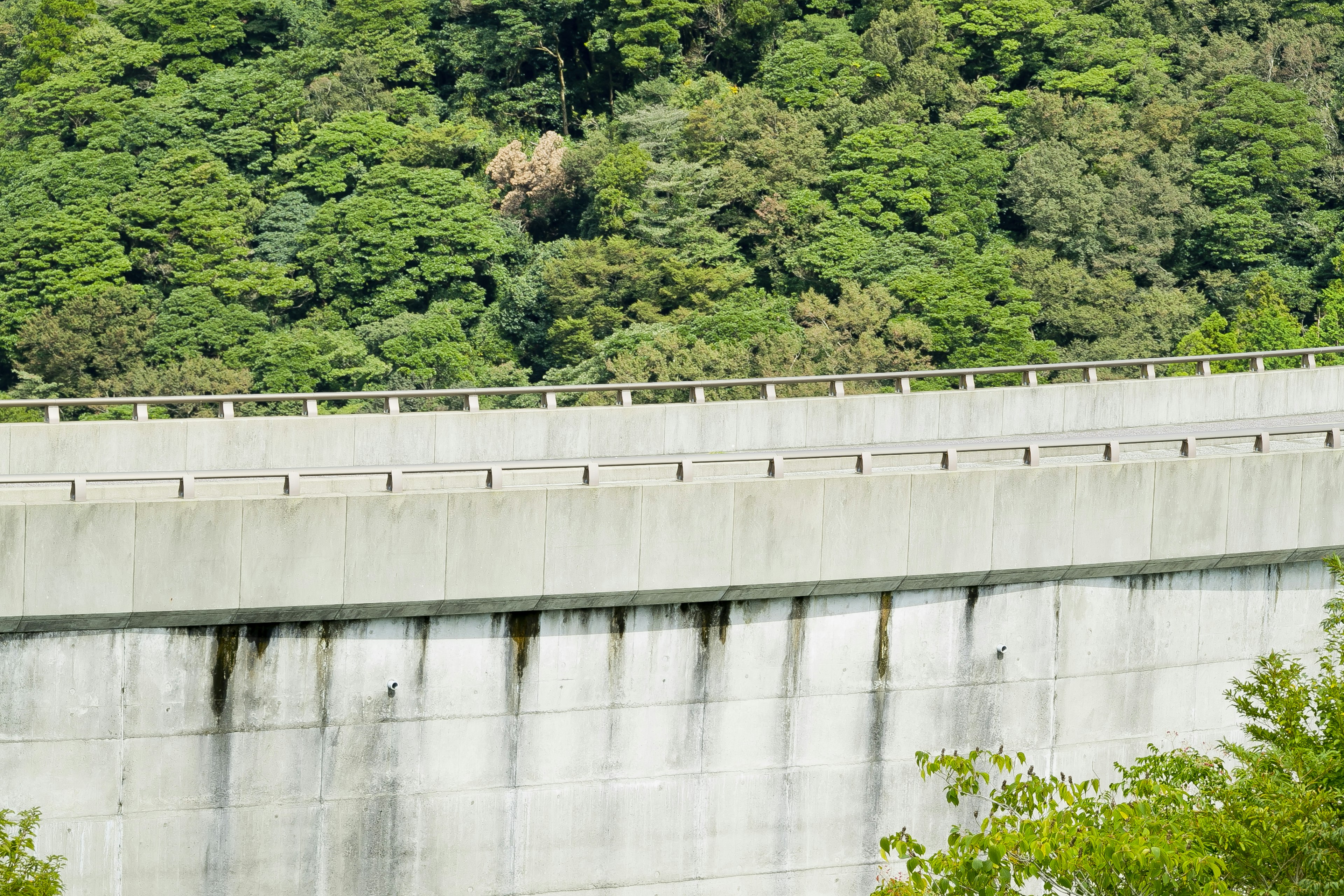 Upper section of a concrete dam against a lush green backdrop