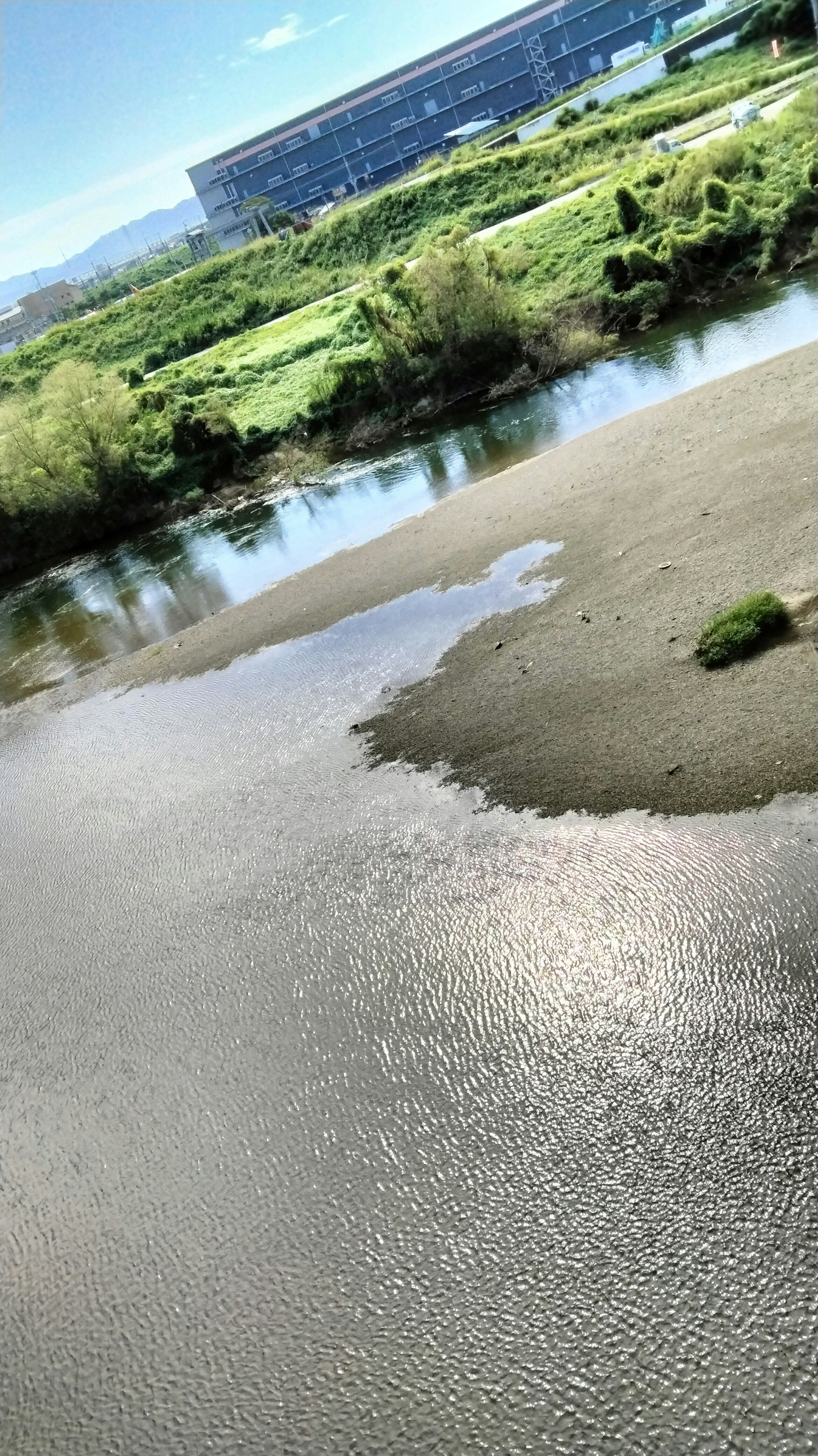 Aerial view of a river with lush greenery