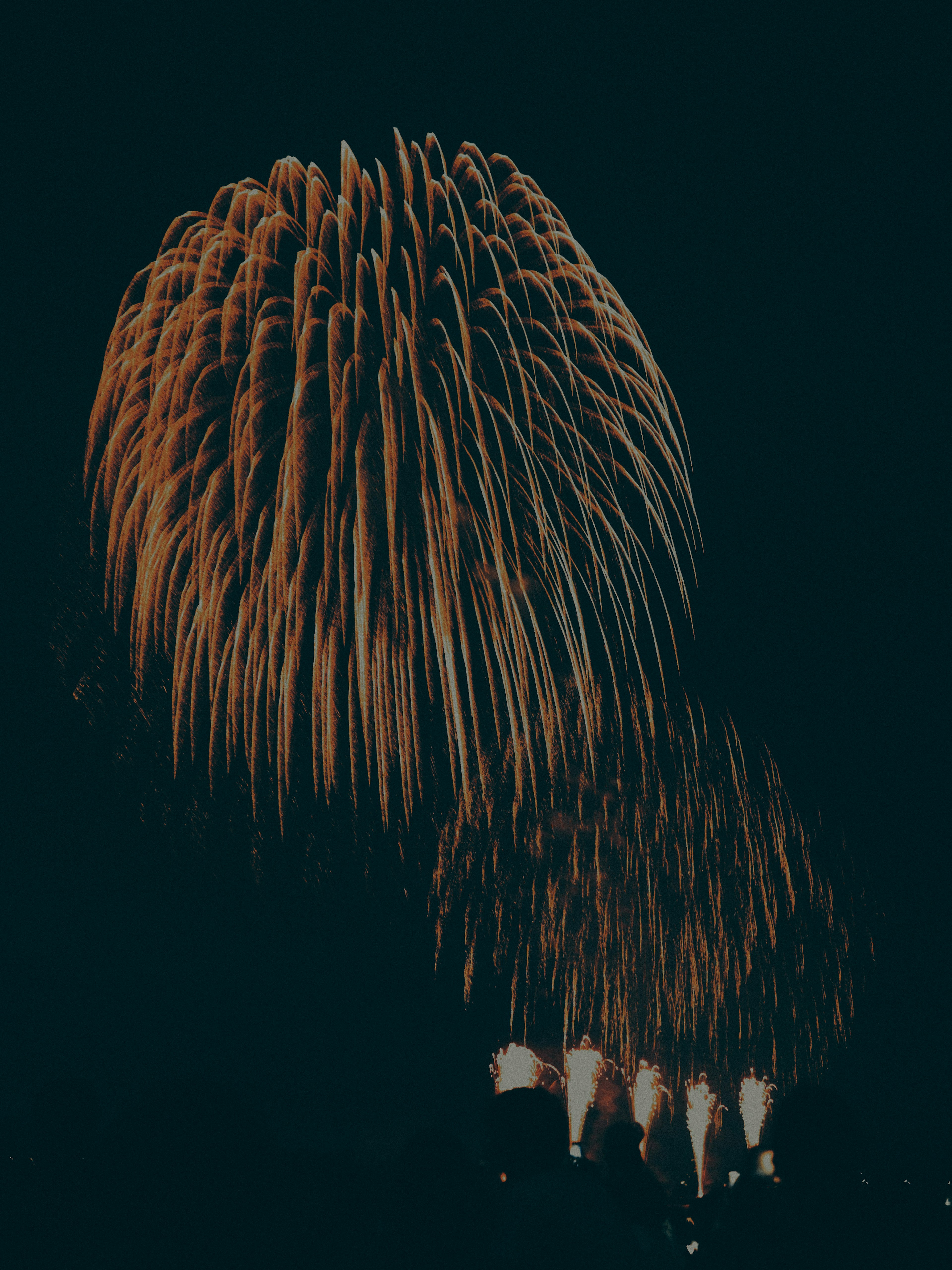 Beautiful pattern of fireworks illuminating the night sky