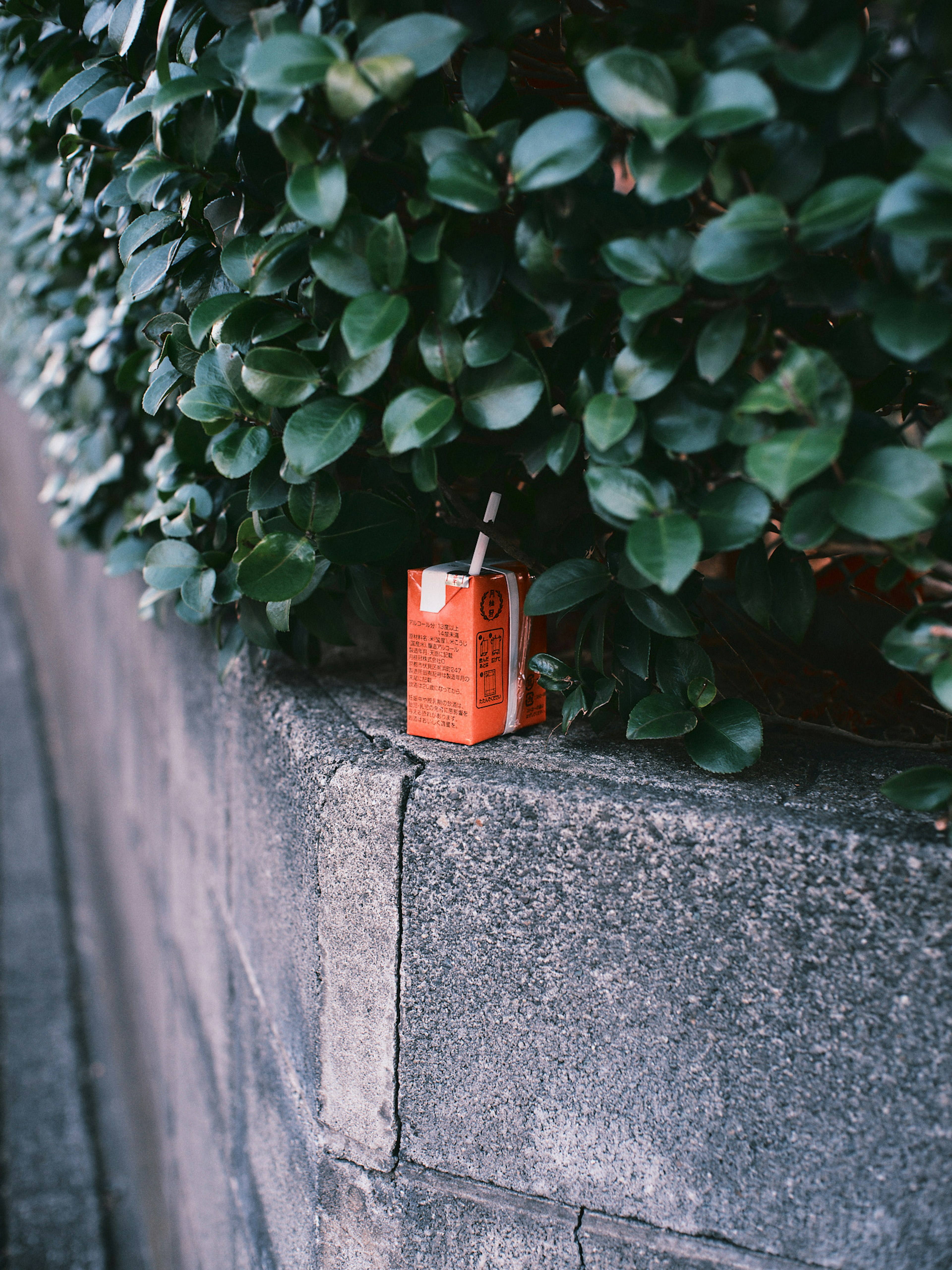 An orange drink package placed on a stone wall surrounded by green leaves