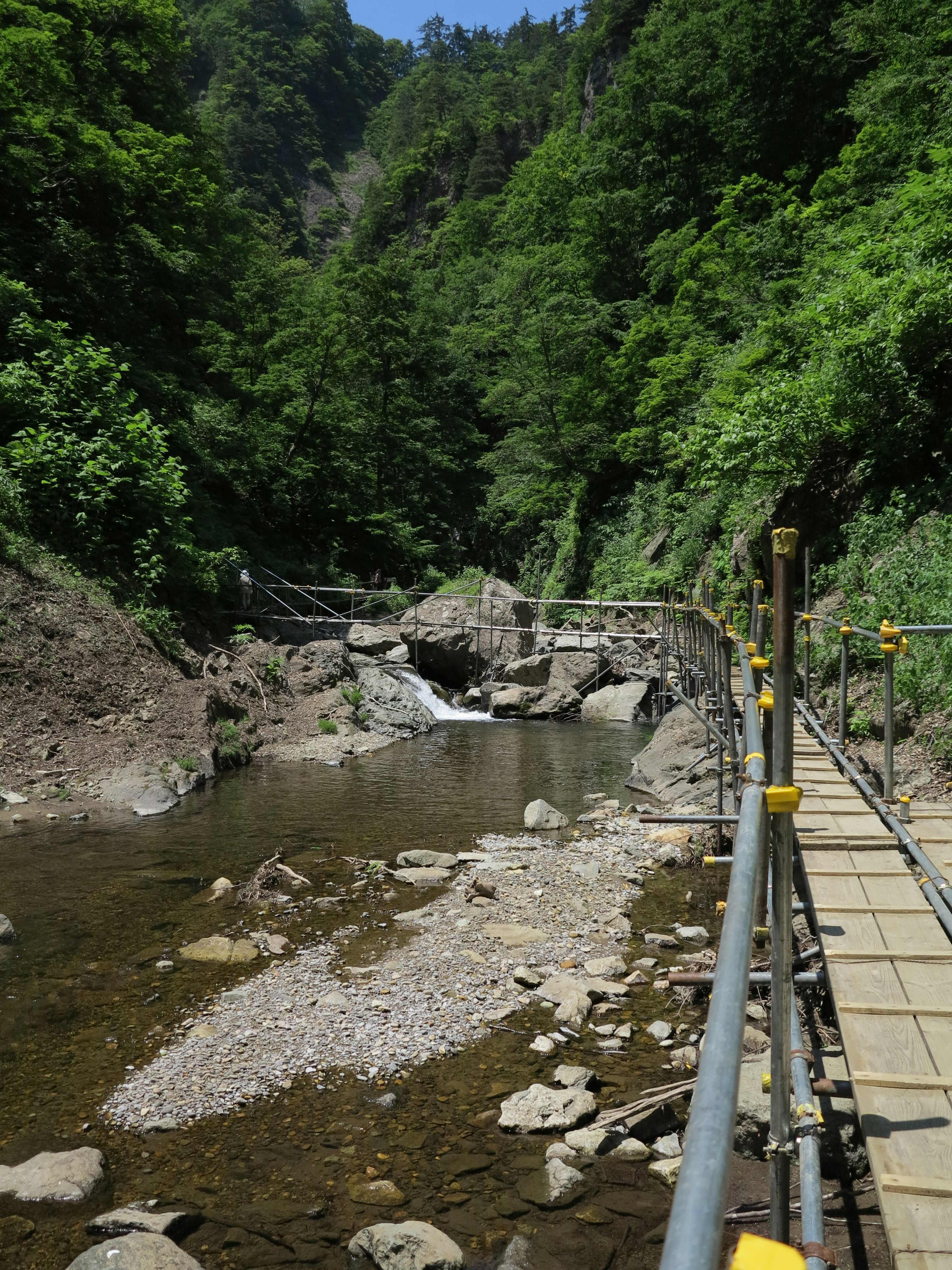 Vista escénica de un arroyo rodeado de árboles verdes y rocas con un sendero de madera cruzándolo