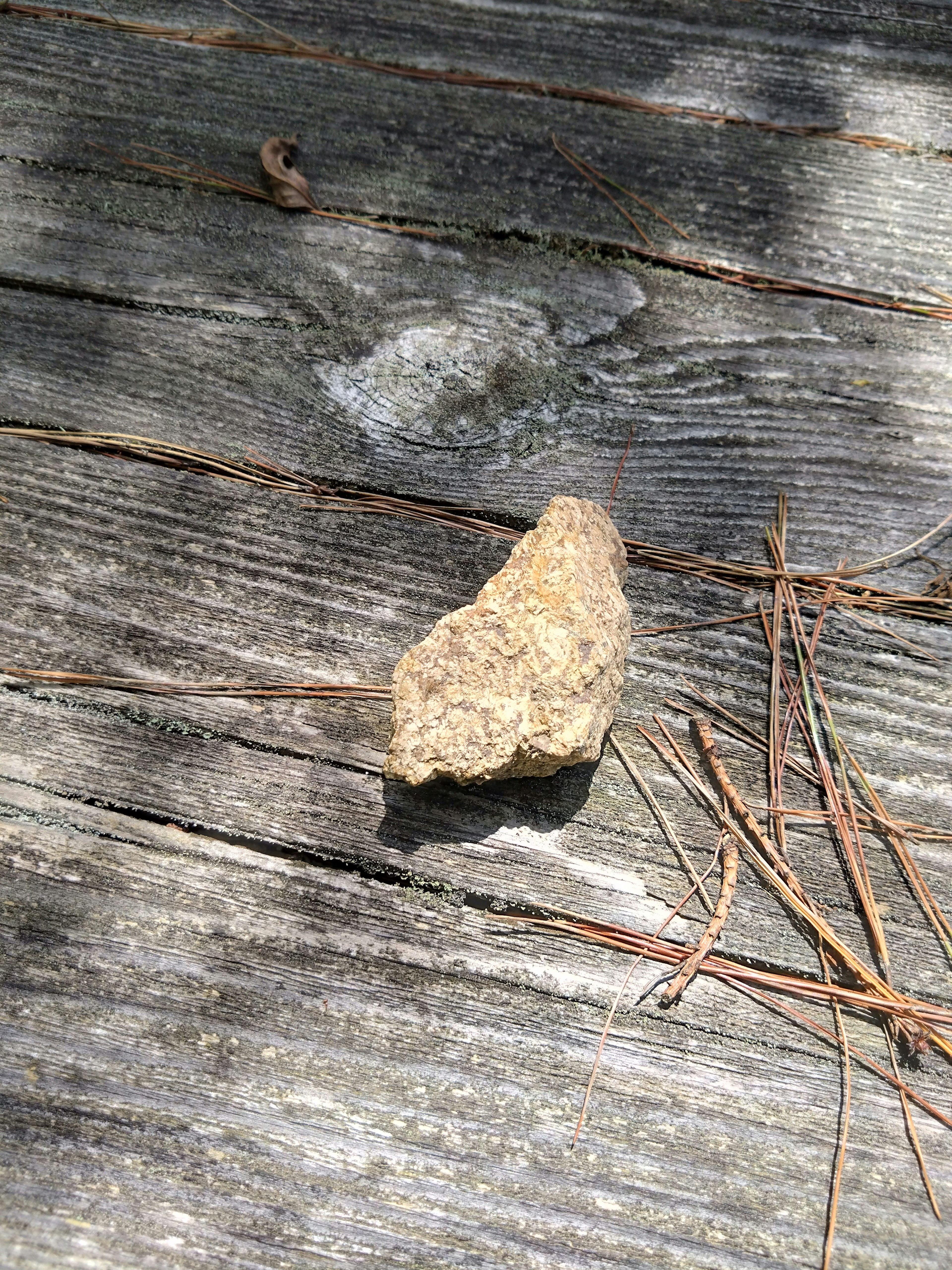 Piccola pietra su assi di legno con aghi di pino