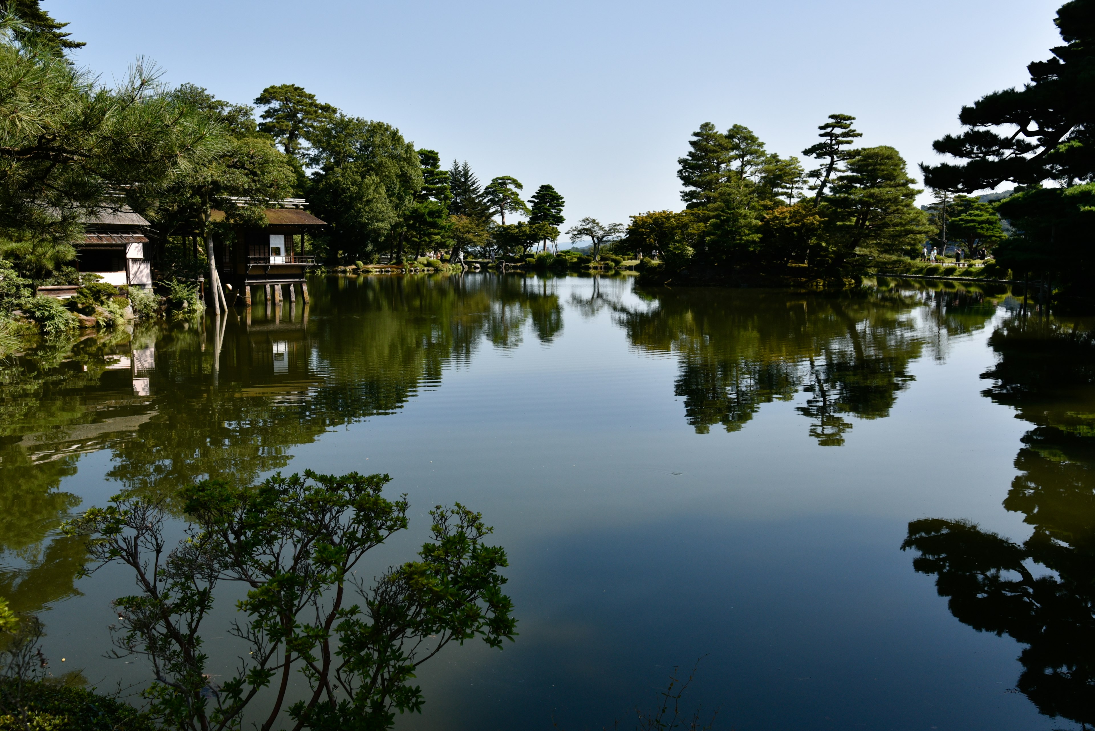 Serene pond reflecting surrounding trees and buildings