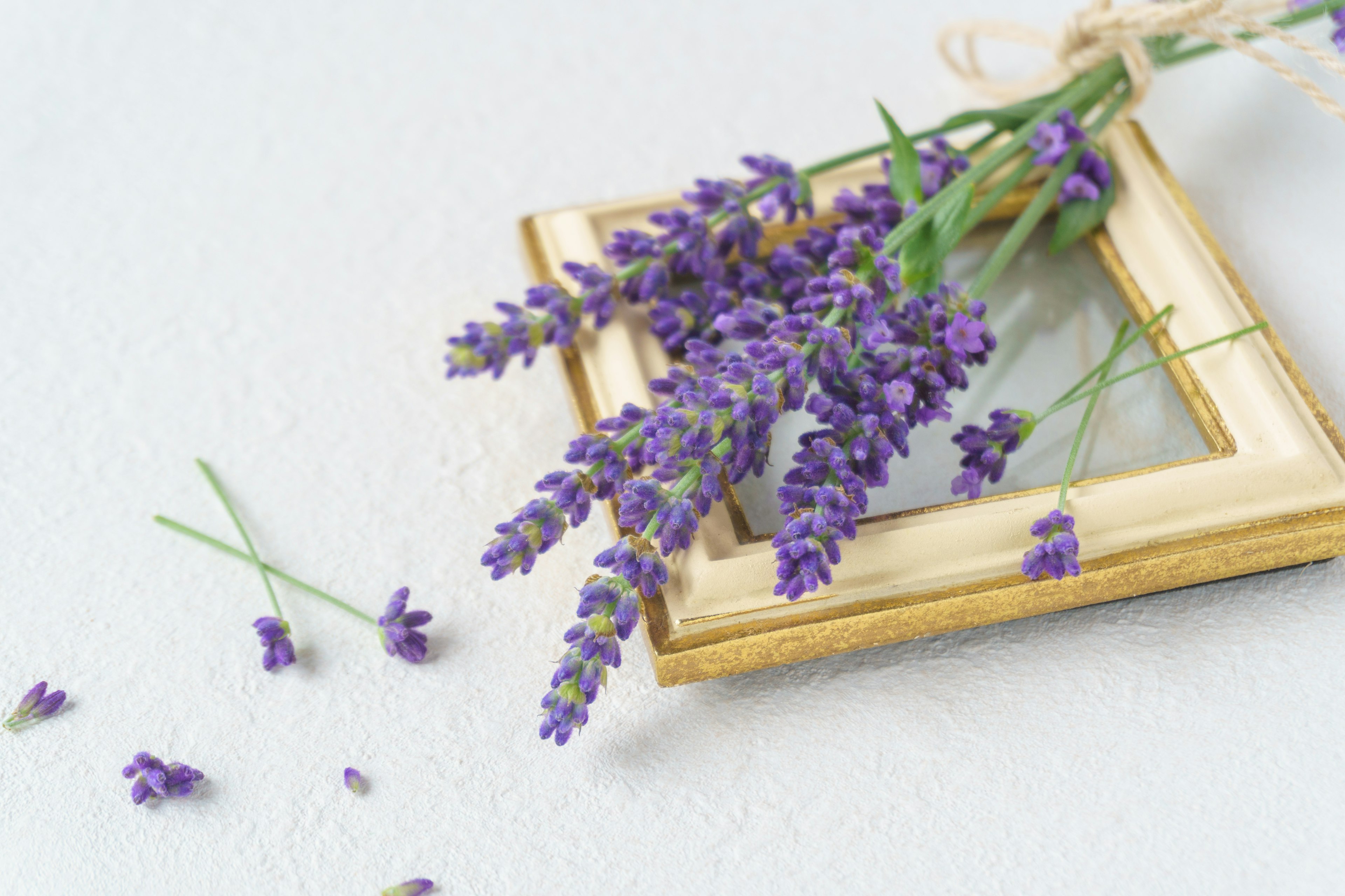 Un ramo de flores de lavanda moradas junto a un marco dorado