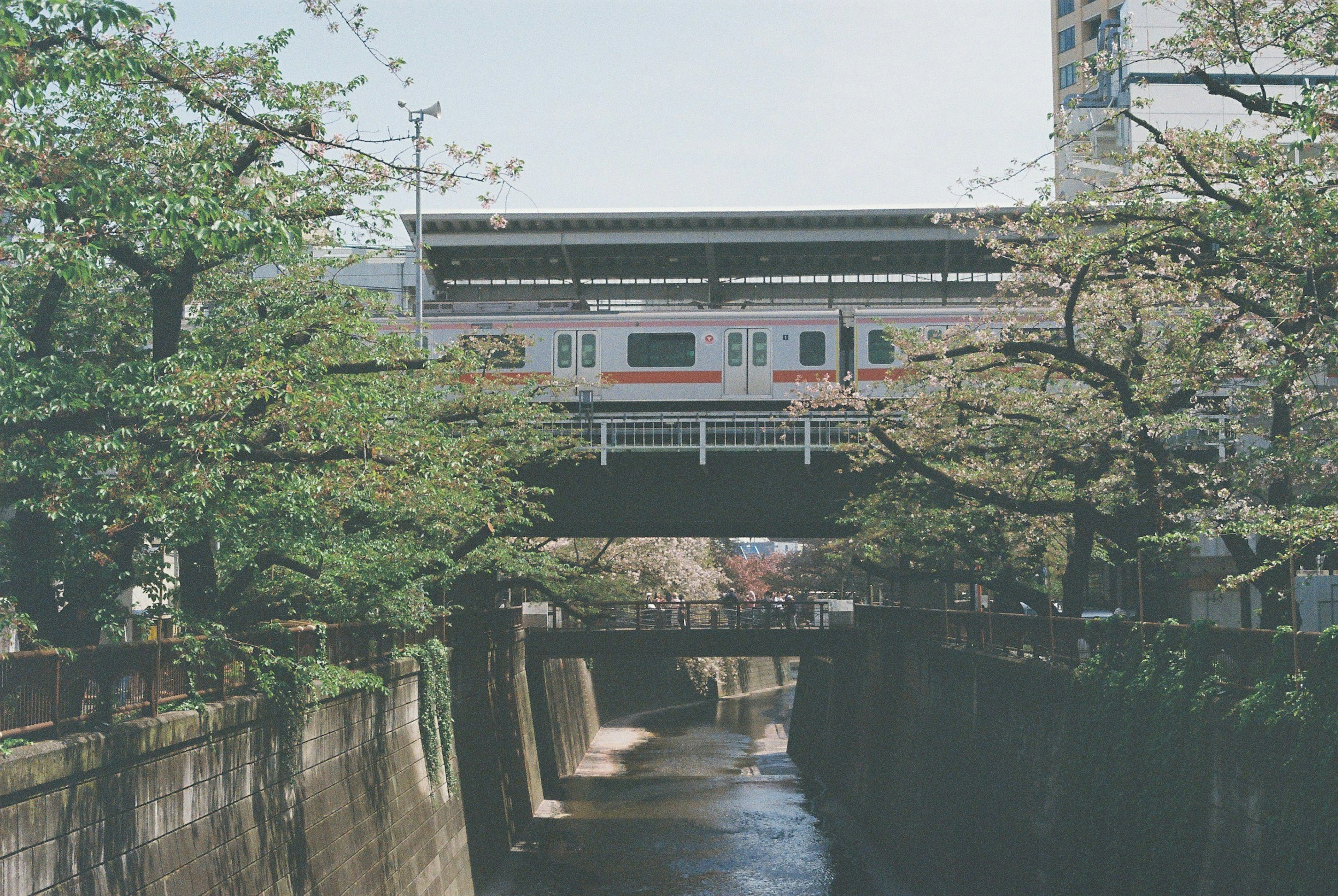 緑の木々に囲まれた川の上に架かる鉄道の駅