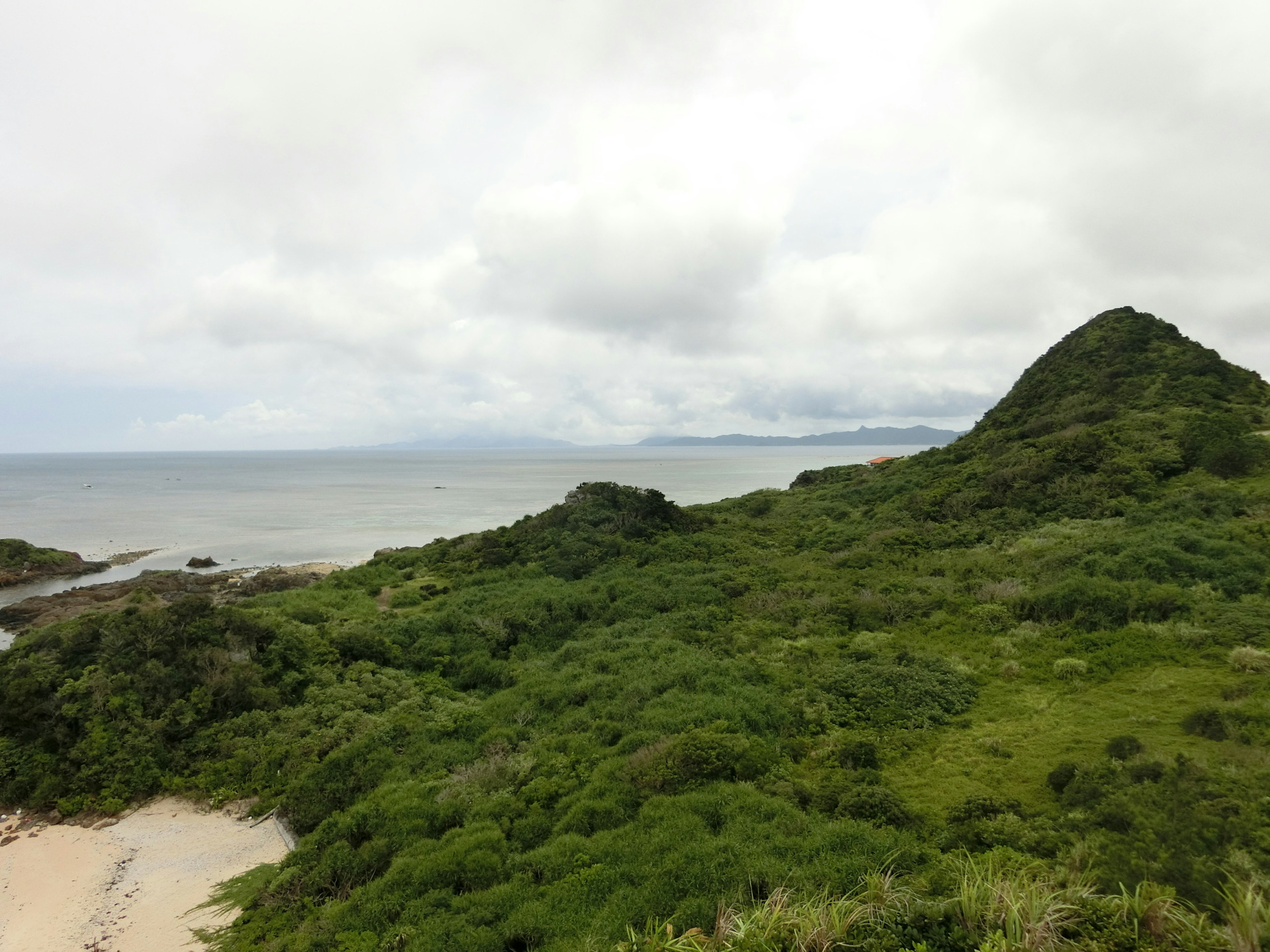 Vista panoramica di colline e oceano con vegetazione lussureggiante