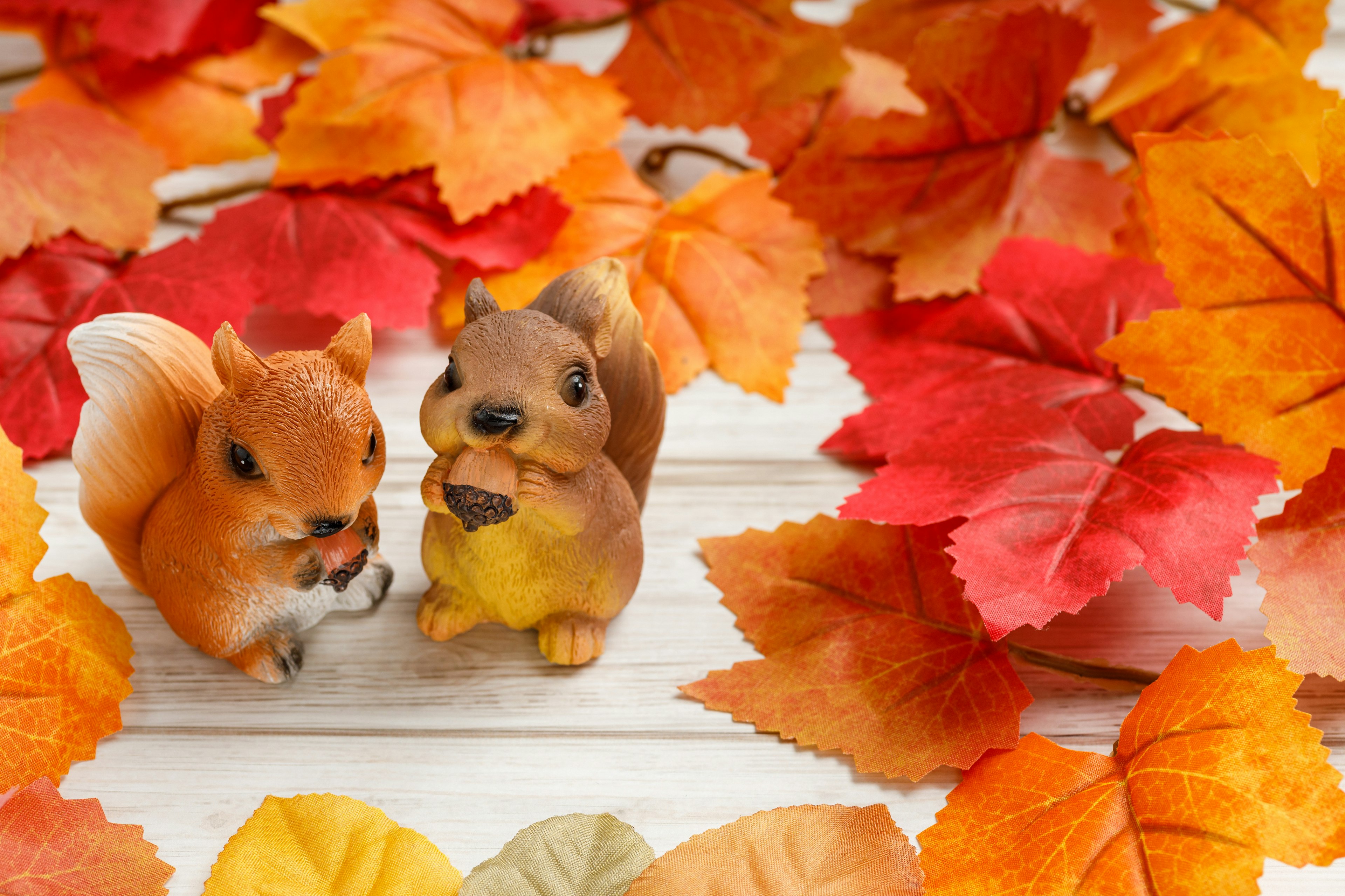 Deux figurines de écureuils mignons parmi des feuilles d'automne