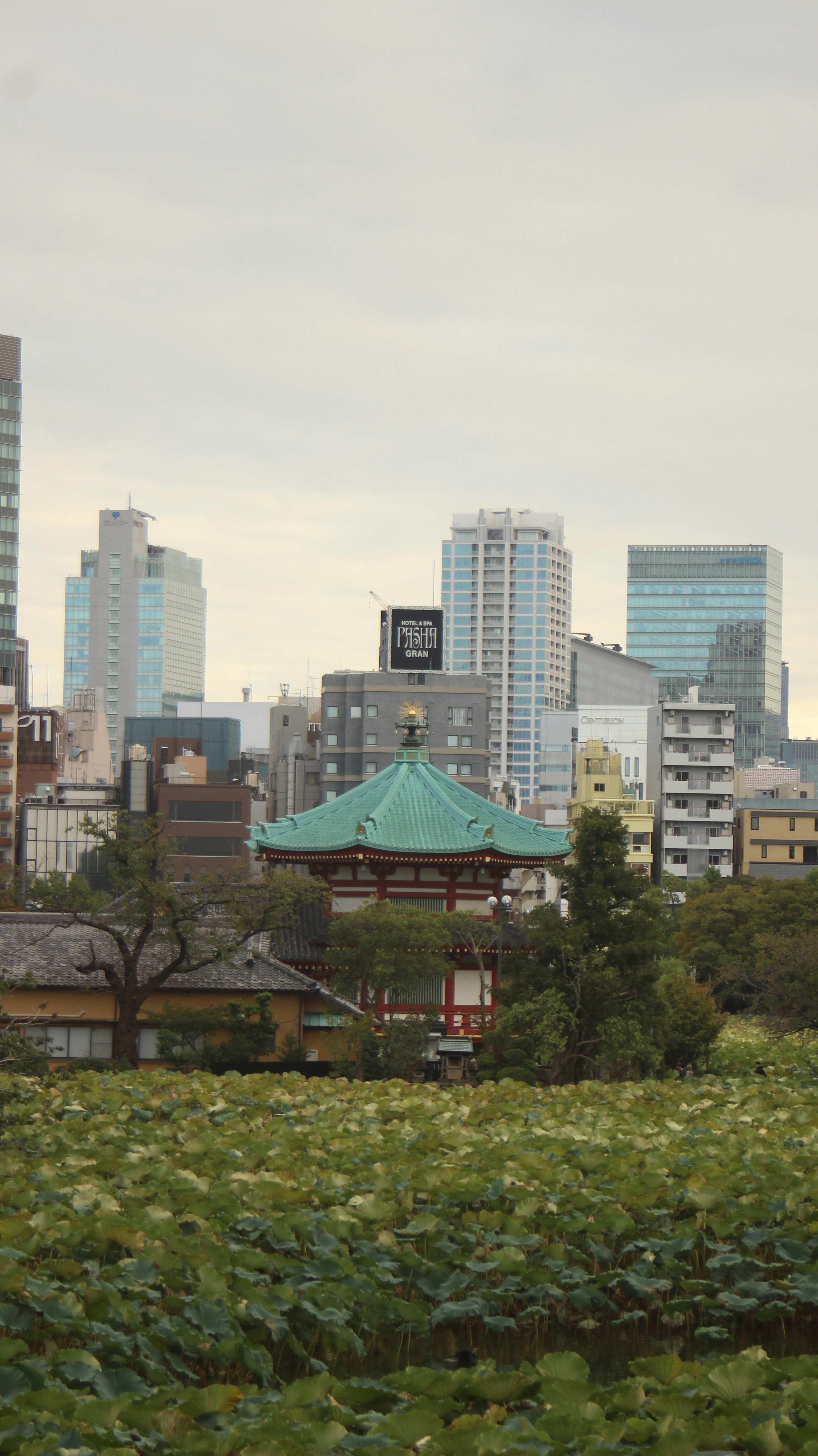 都市のスカイラインと伝統的な建物が並ぶ風景