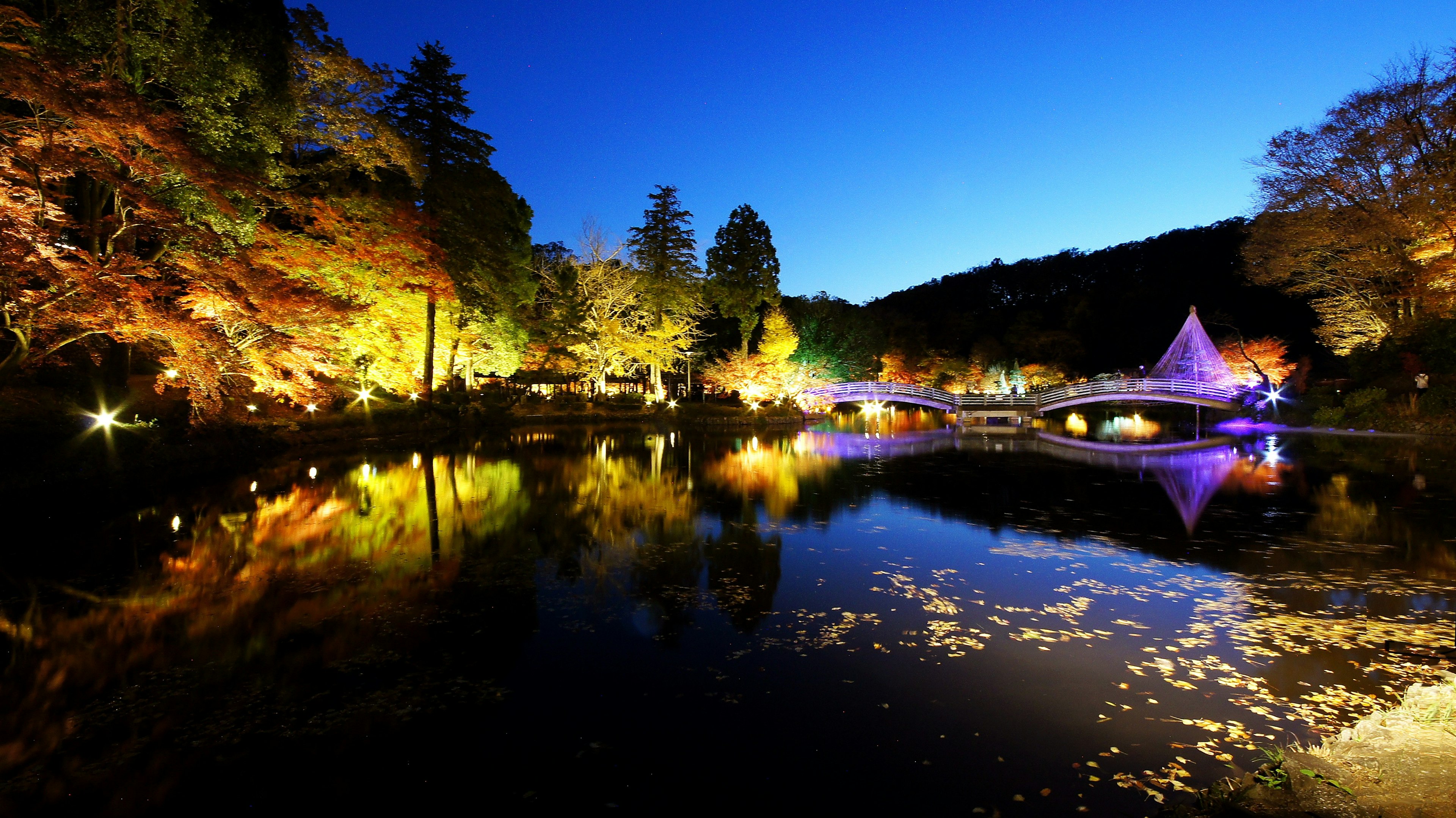 Night view of a lake with illuminated trees and a bridge