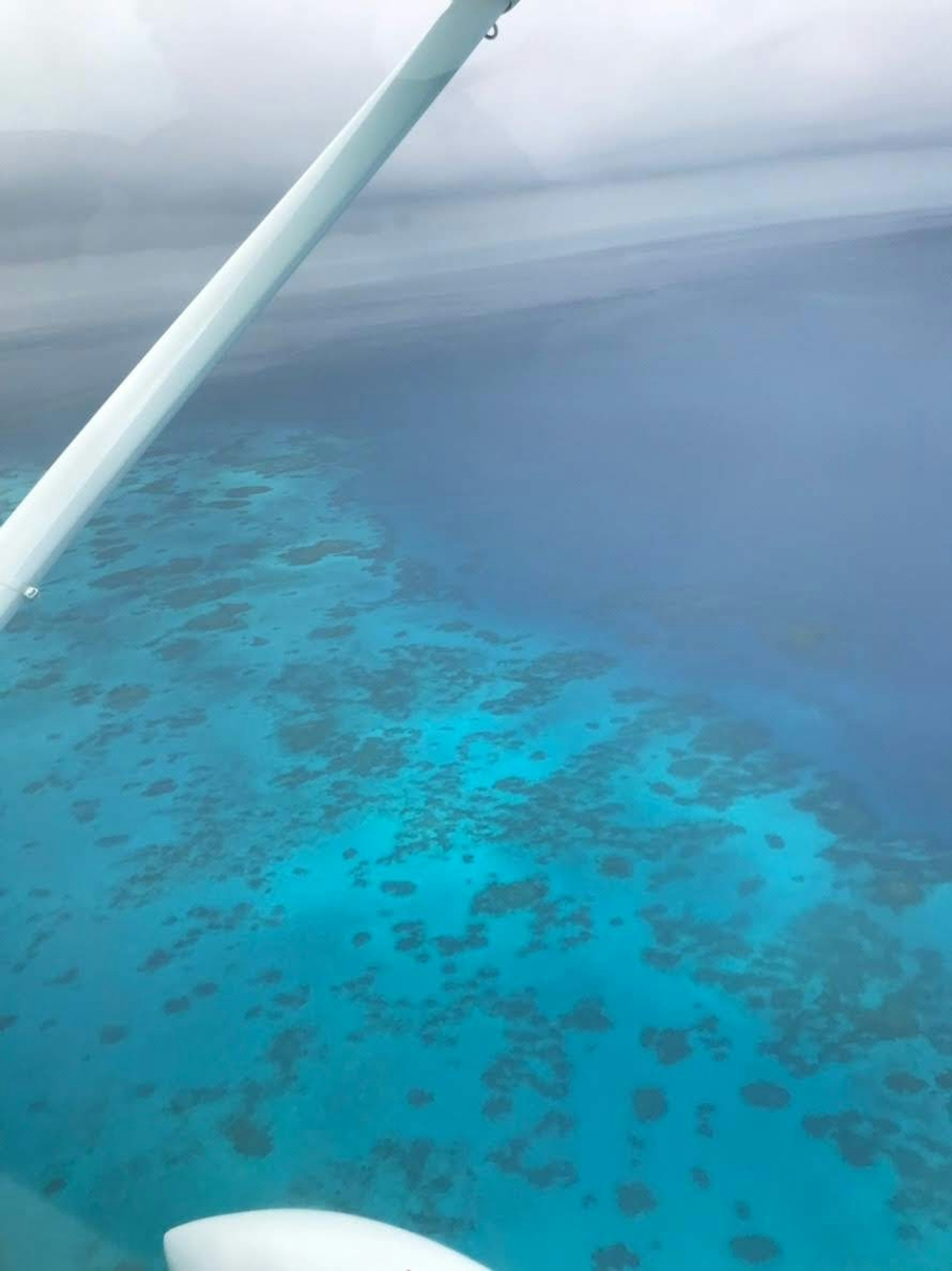 Pemandangan udara laut biru dan terumbu karang