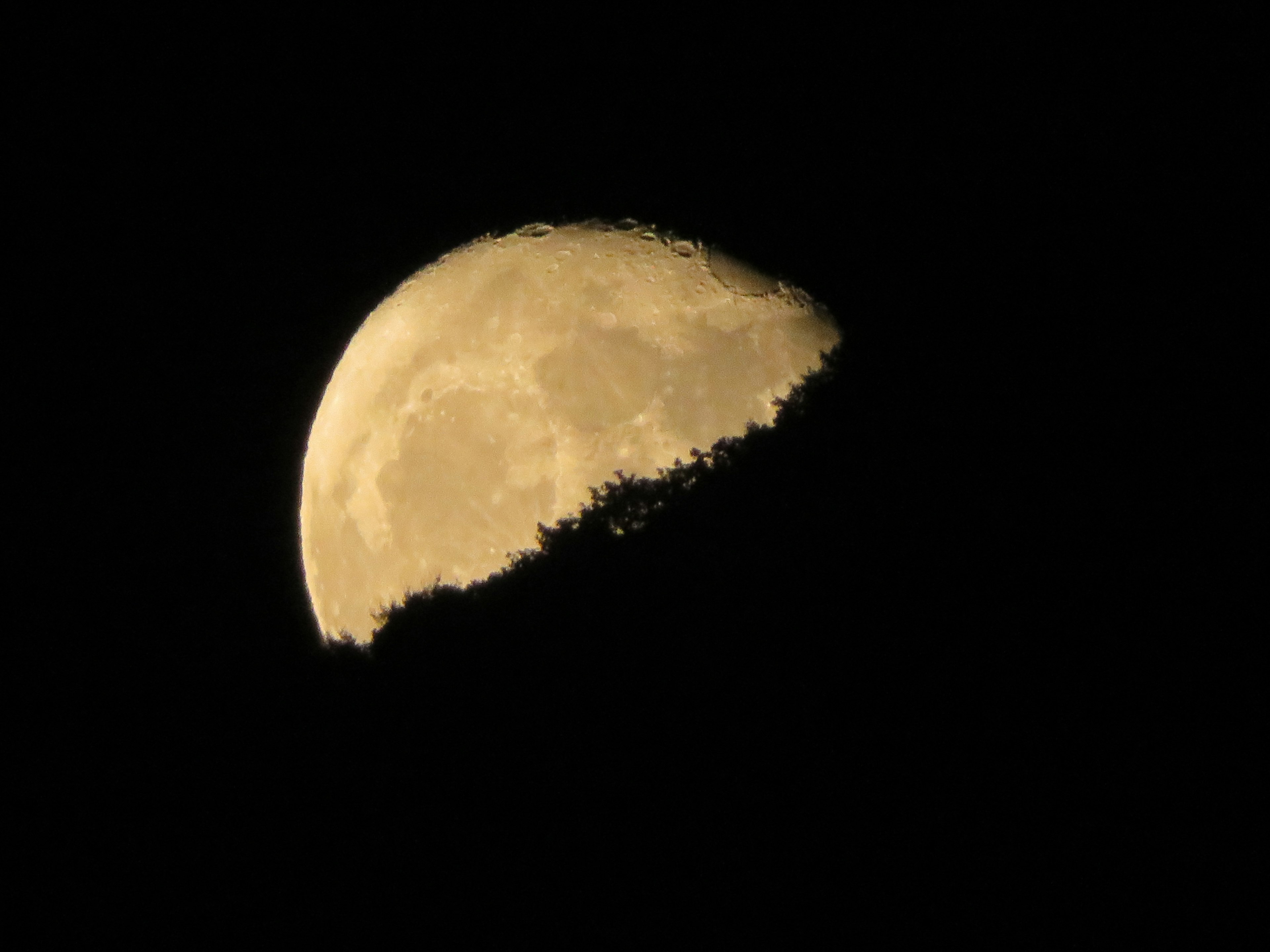 Media luna iluminada en el cielo nocturno con fondo oscuro