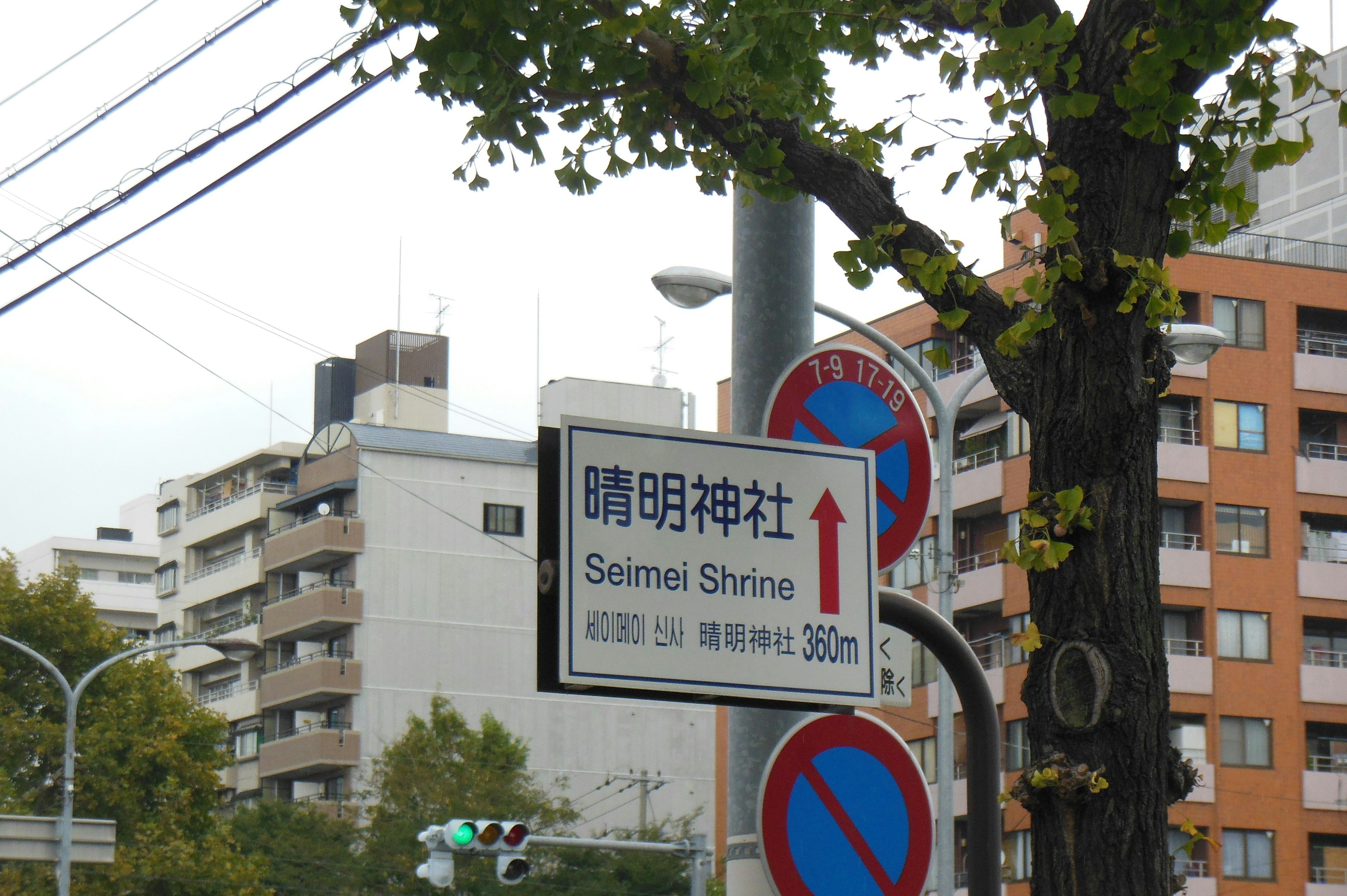 Cartel que indica la dirección al Santuario Sensoji con edificios circundantes