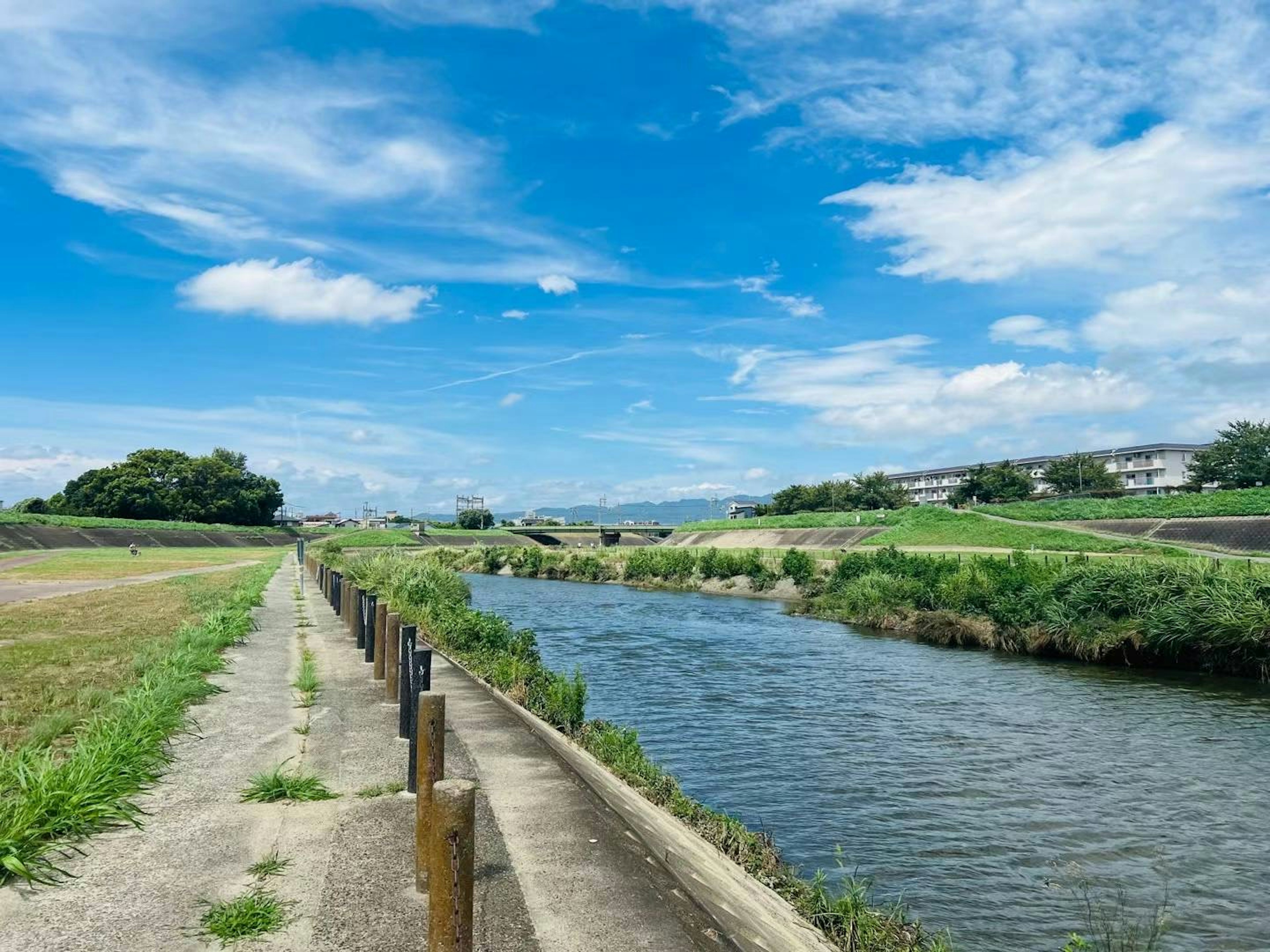 青空と緑の風景が広がる川の風景