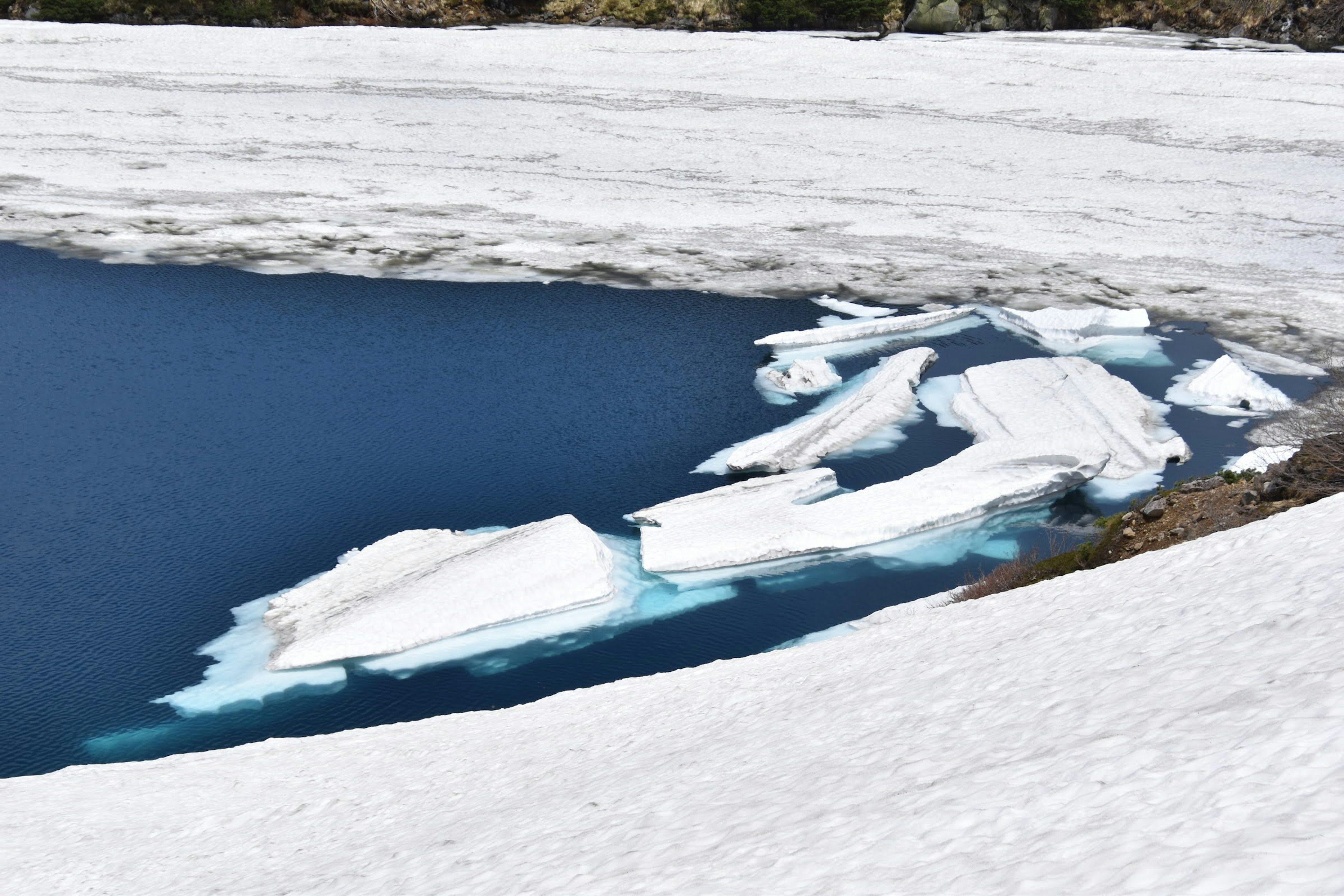 Ice fragments floating on a blue lake with a snow-covered shore