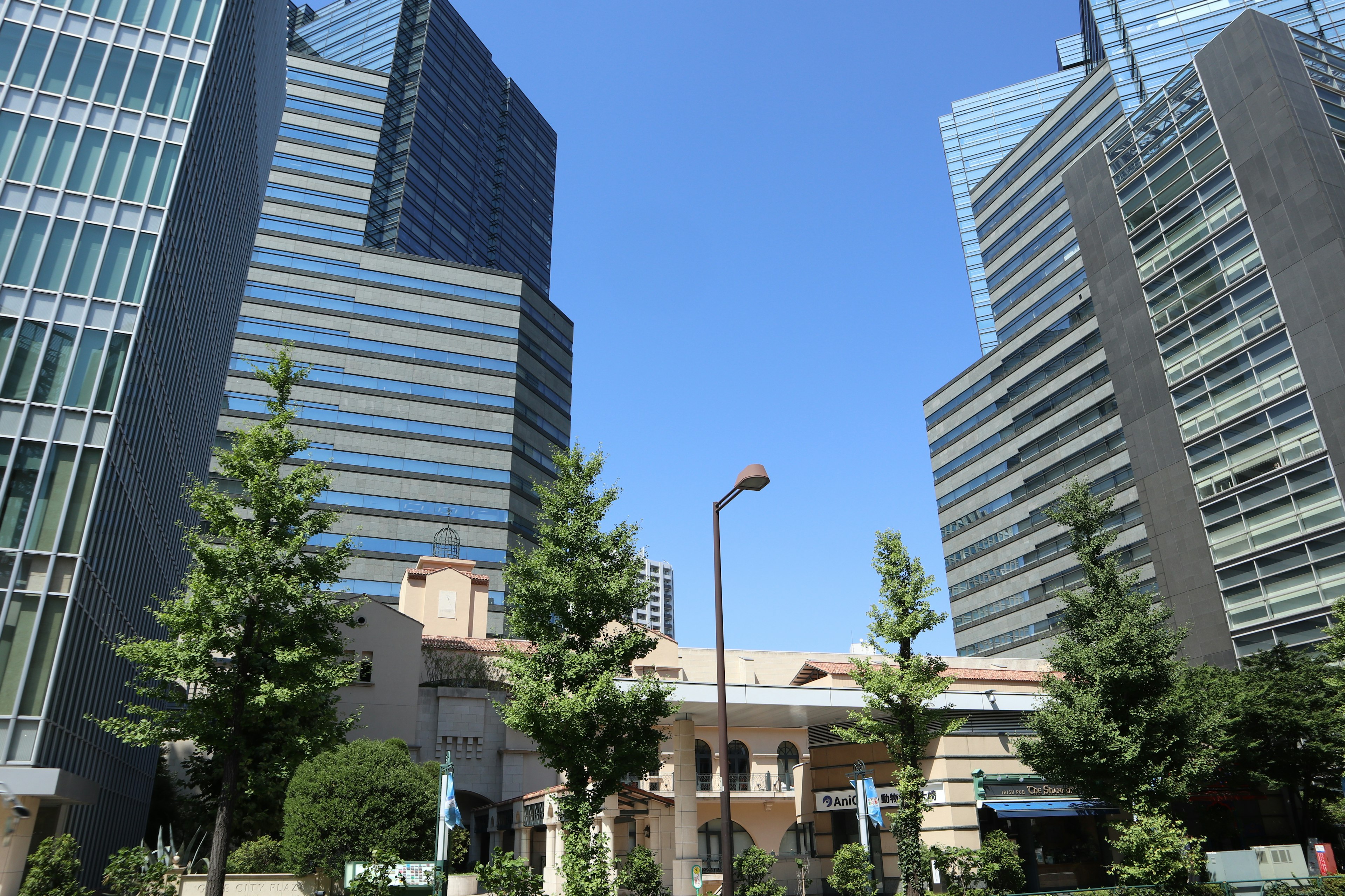 Green space surrounded by tall buildings