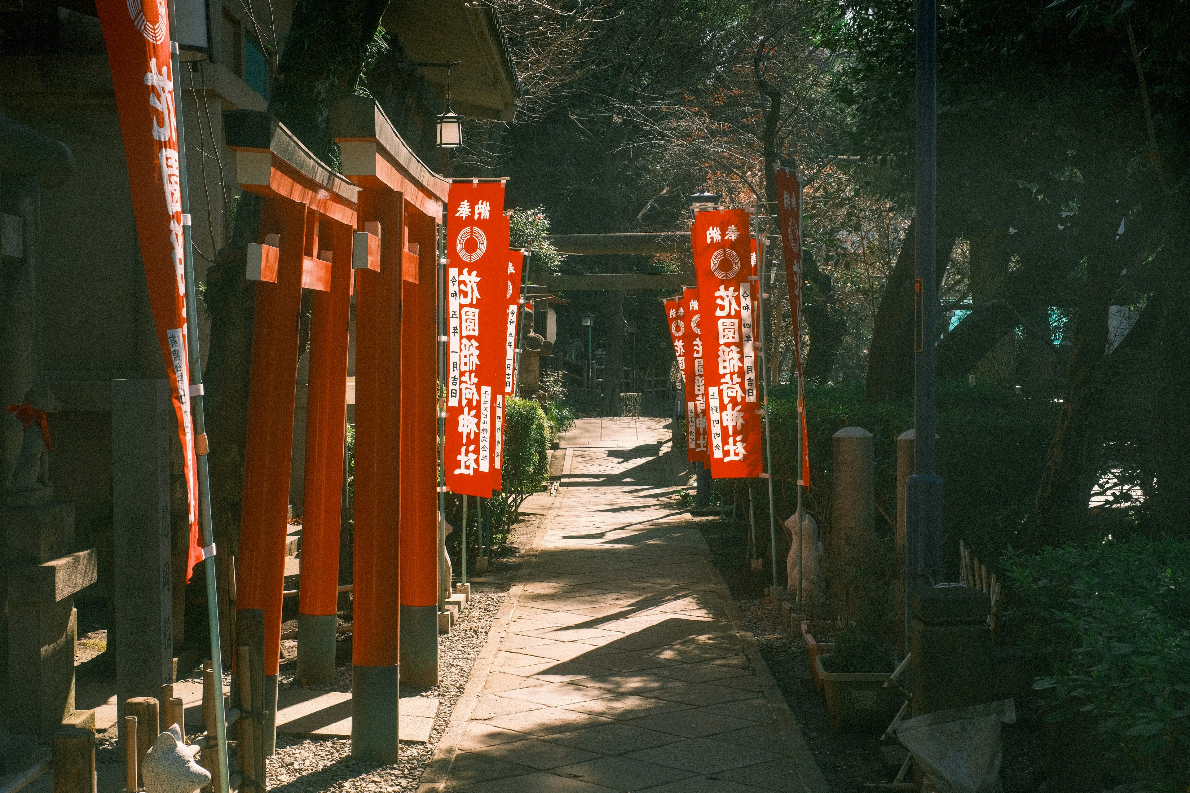 赤い旗が並ぶ神社の小道風景