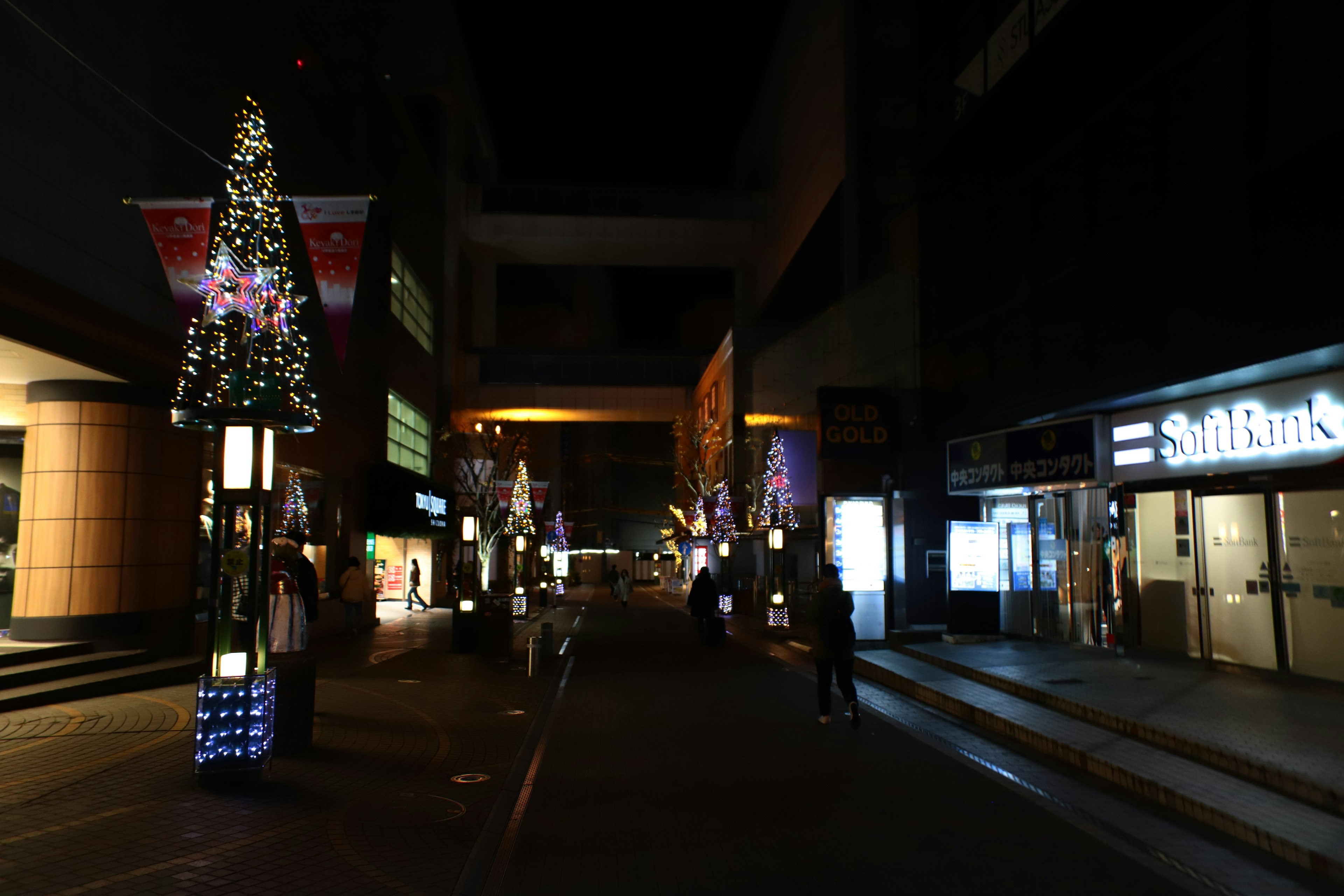 Strada illuminata con alberi di Natale di notte