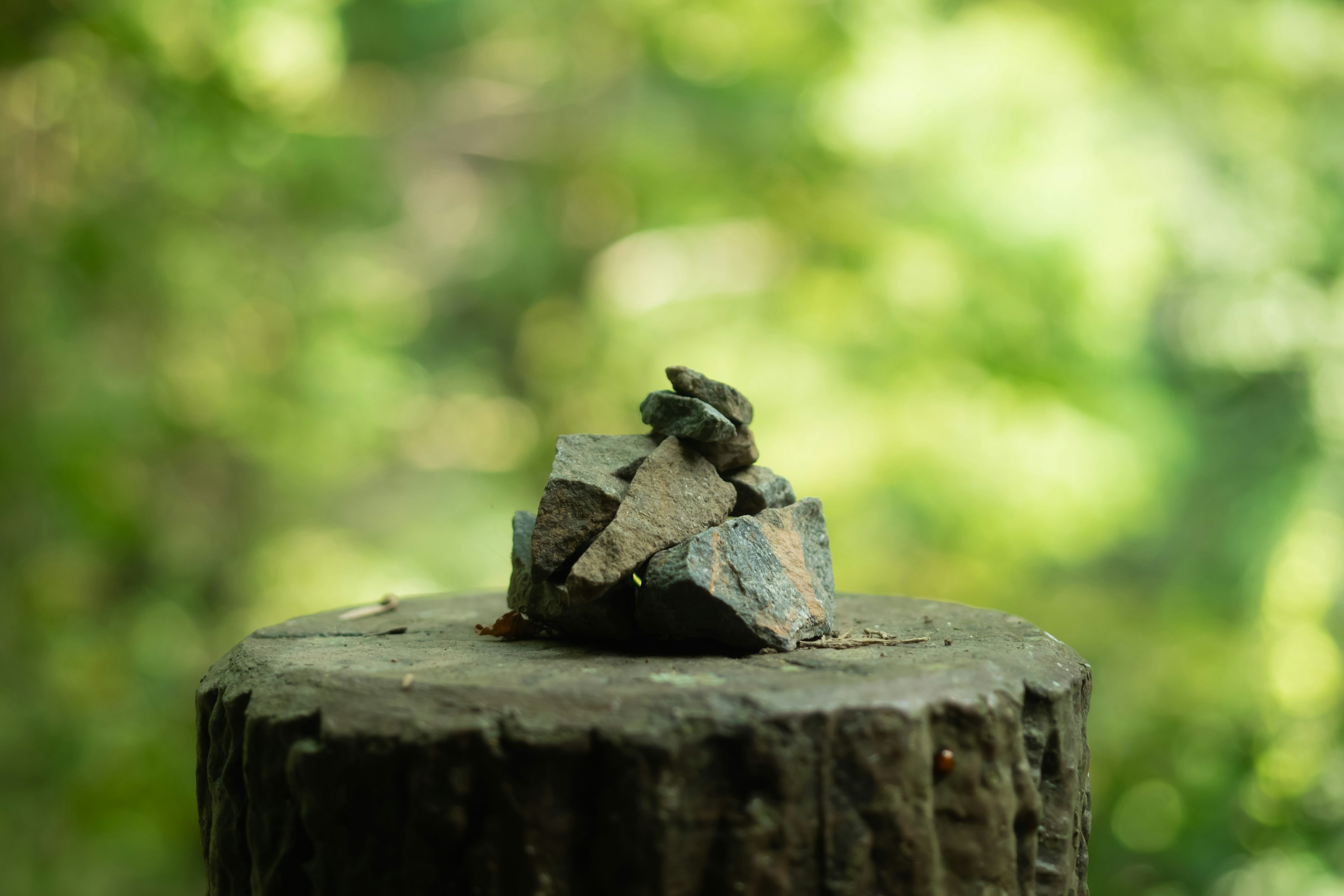 Tumpukan kecil batu dan daun di atas tunggul pohon dengan latar belakang alam hijau yang buram