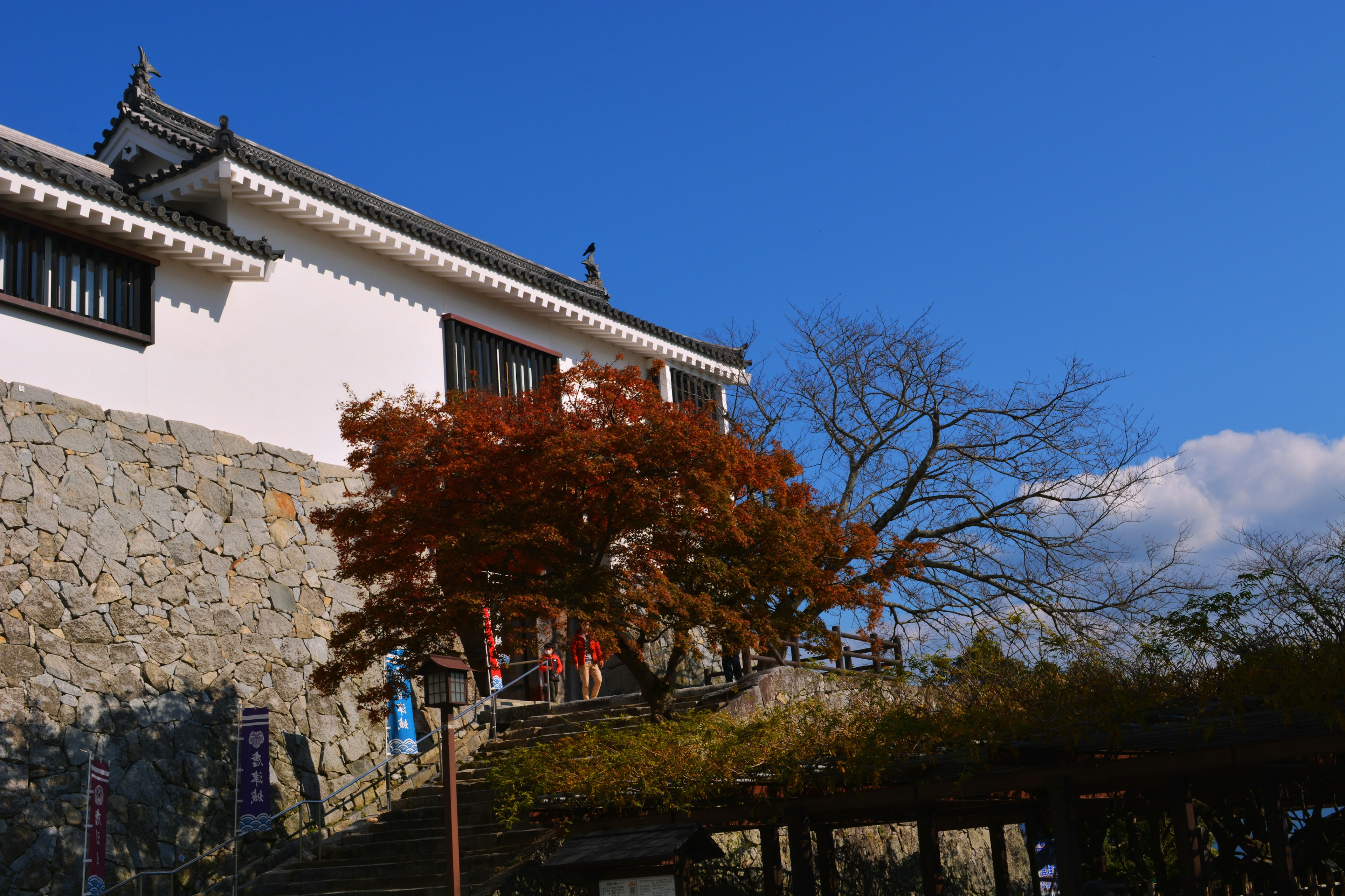 Edificio giapponese tradizionale sotto un bellissimo cielo blu con un albero dalle foglie rosse