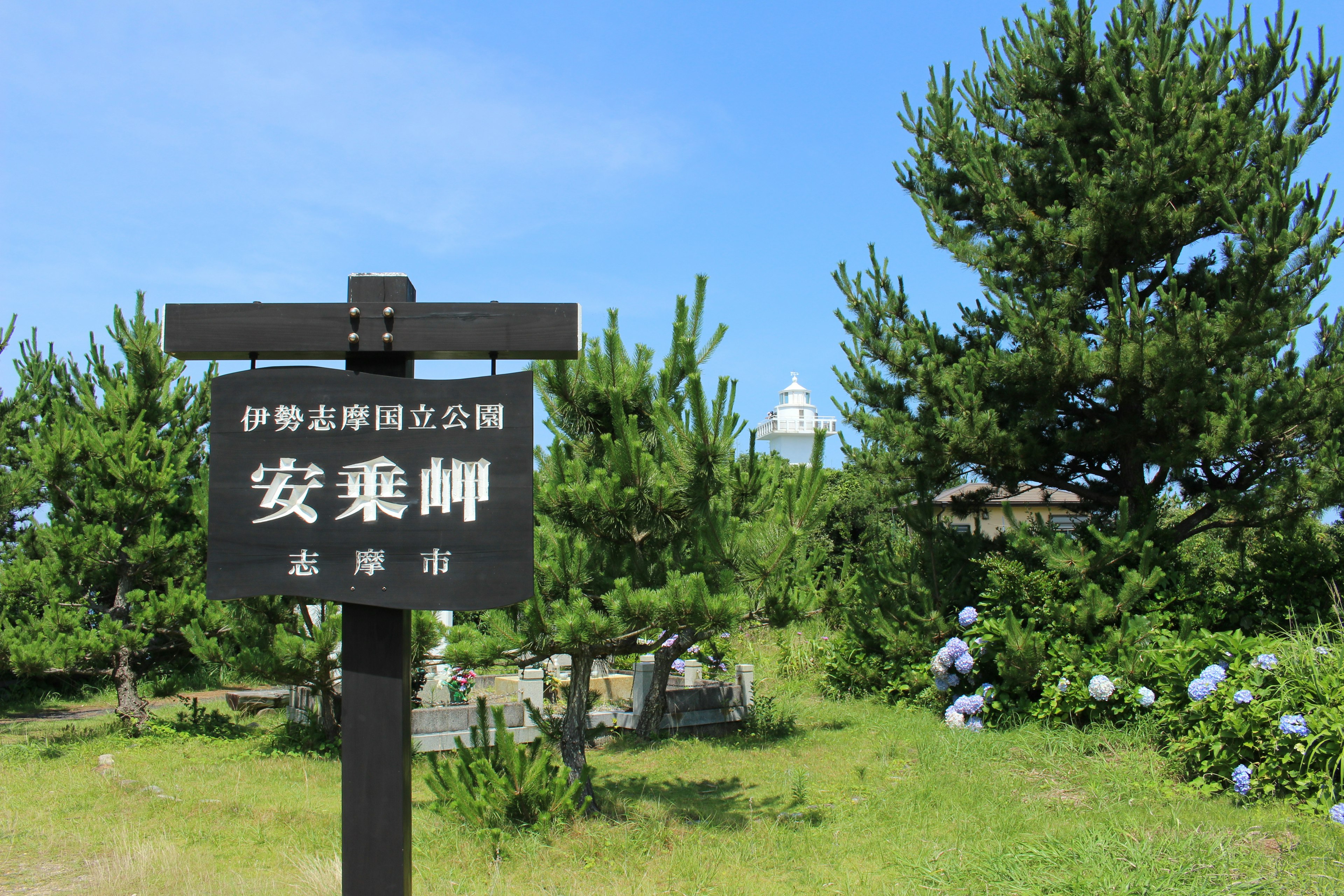 青空の下にある公園の案内板 植栽と緑の木々が周囲を囲む