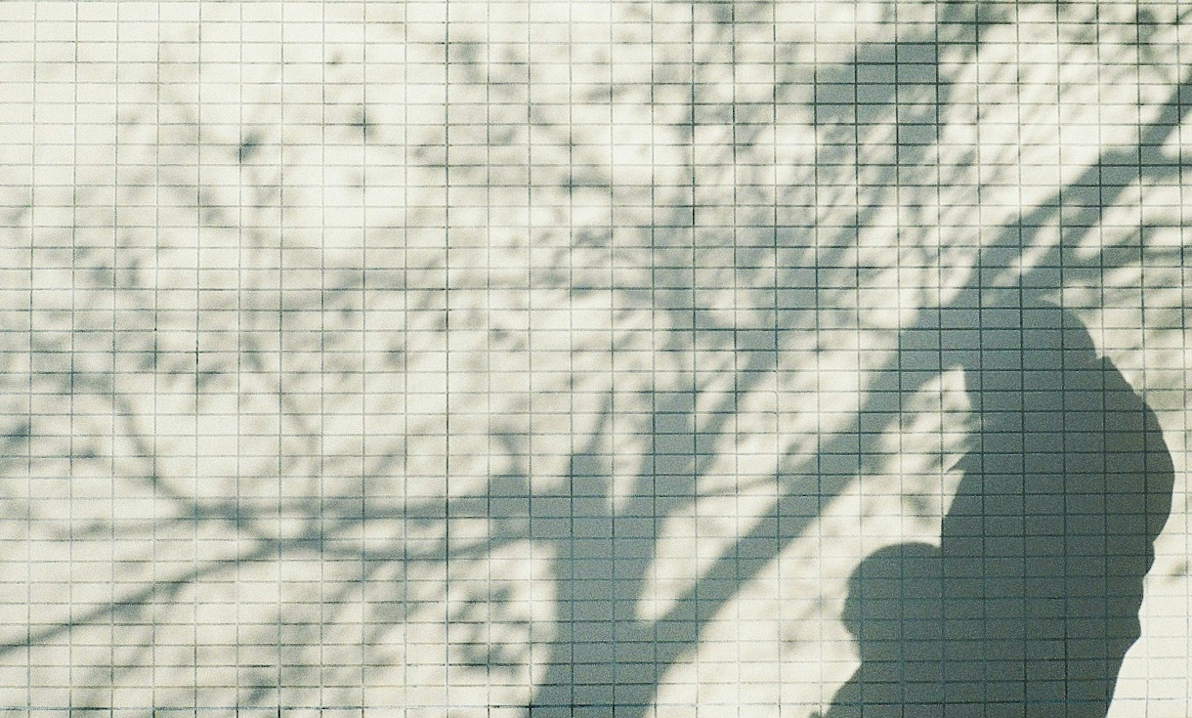 Silhouette d'une personne avec des ombres d'arbres sur un fond à carreaux