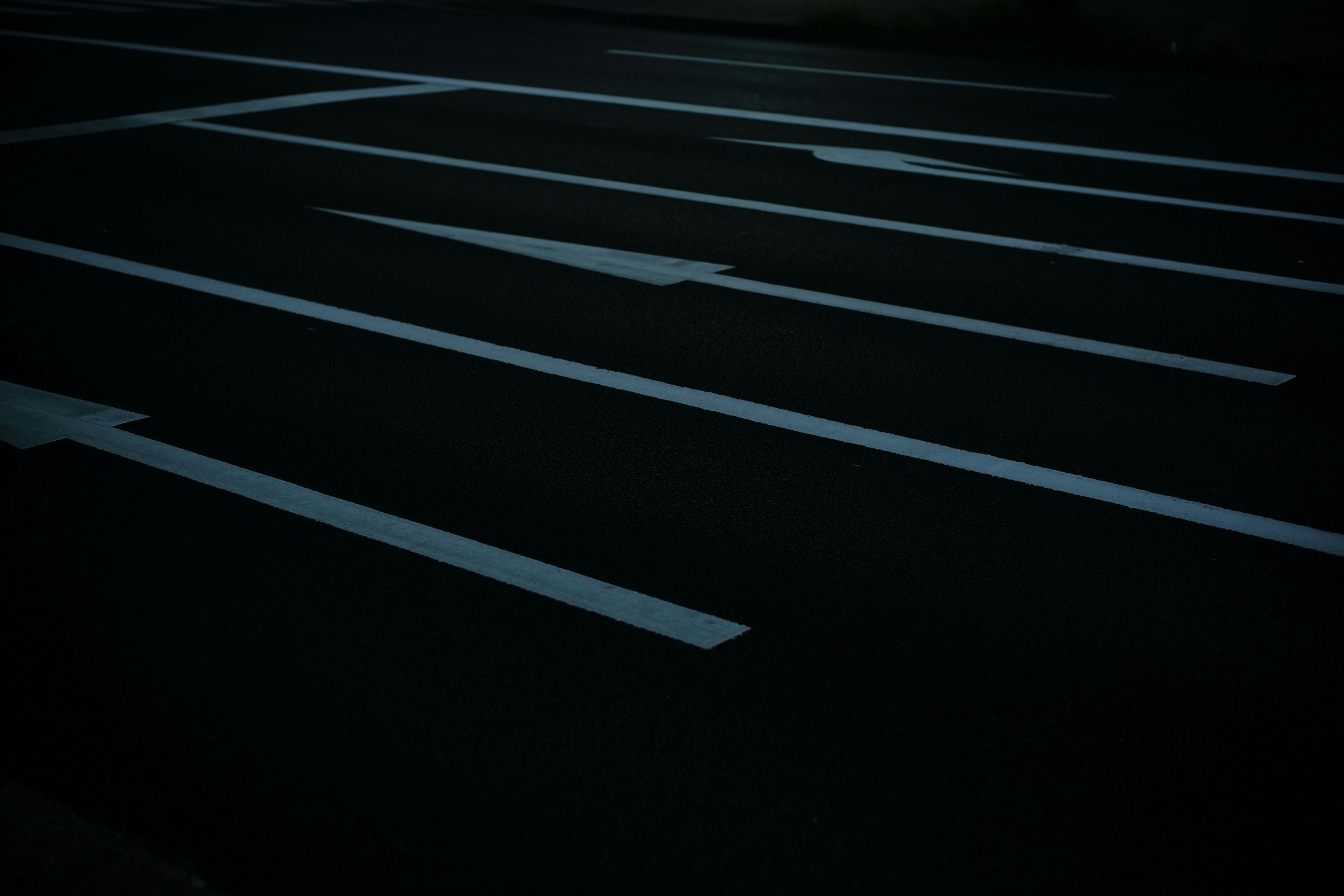 White parking lines on a dark asphalt background