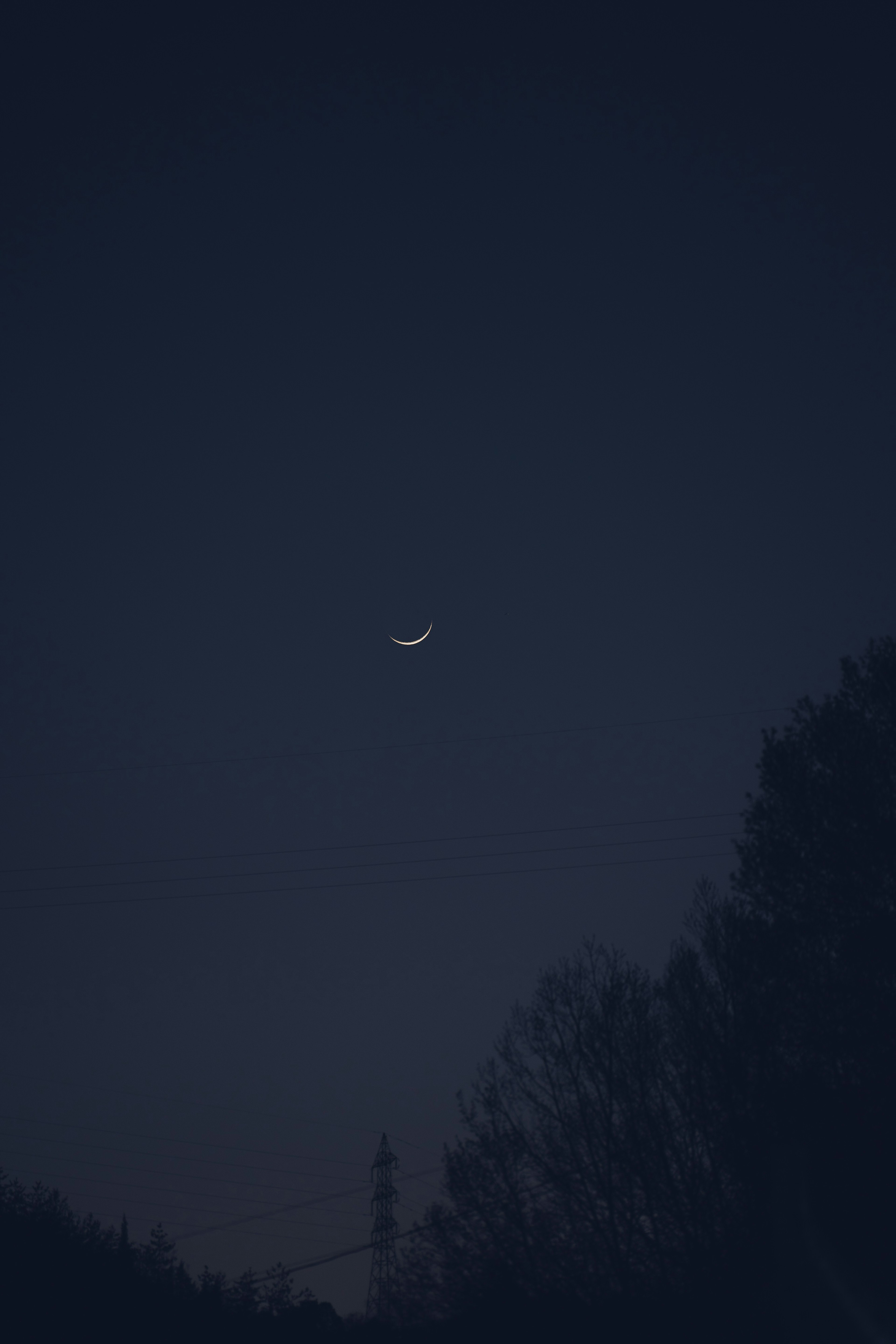 Bulan sabit tipis di langit malam dengan siluet gelap pohon-pohon