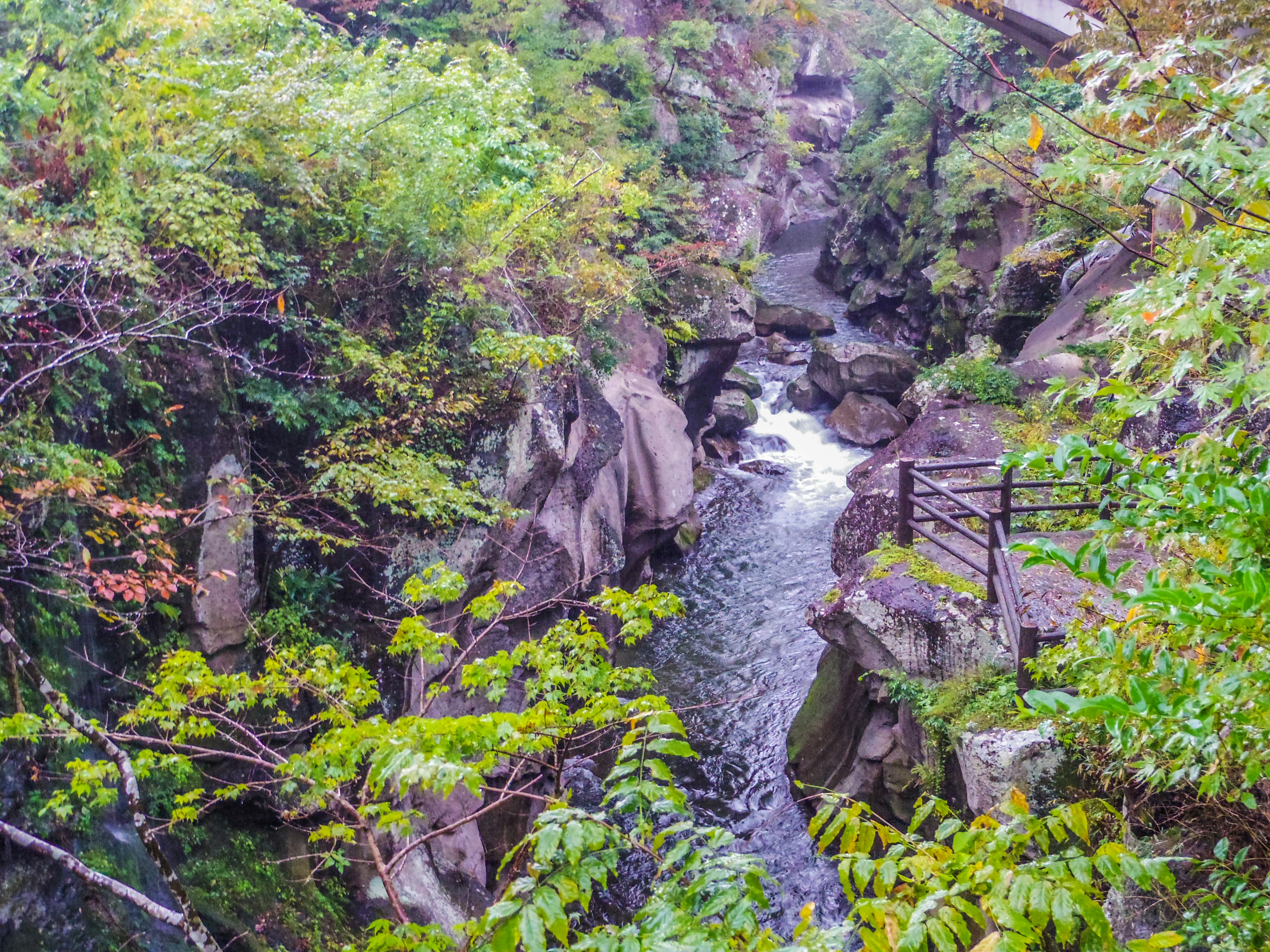 Vista escénica de un valle exuberante con un arroyo que fluye