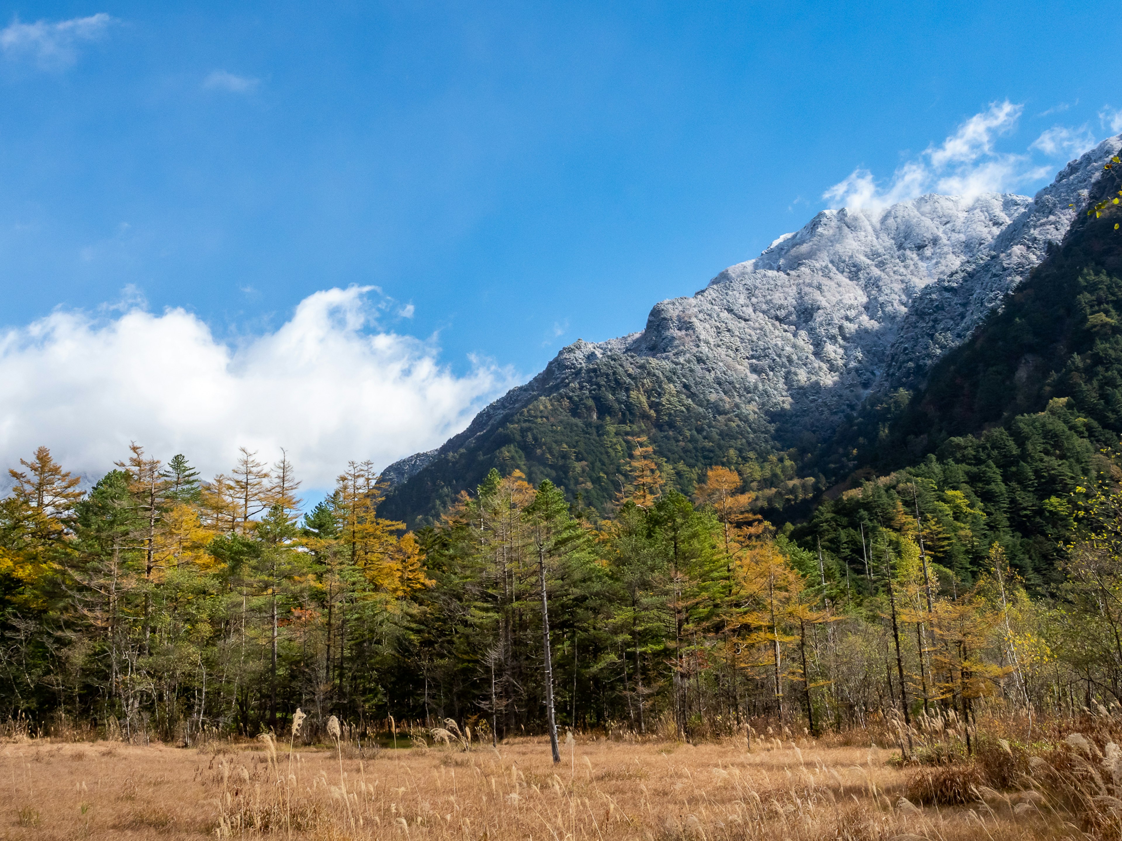 Paisaje escénico con montañas y bosques bajo un cielo azul con nubes