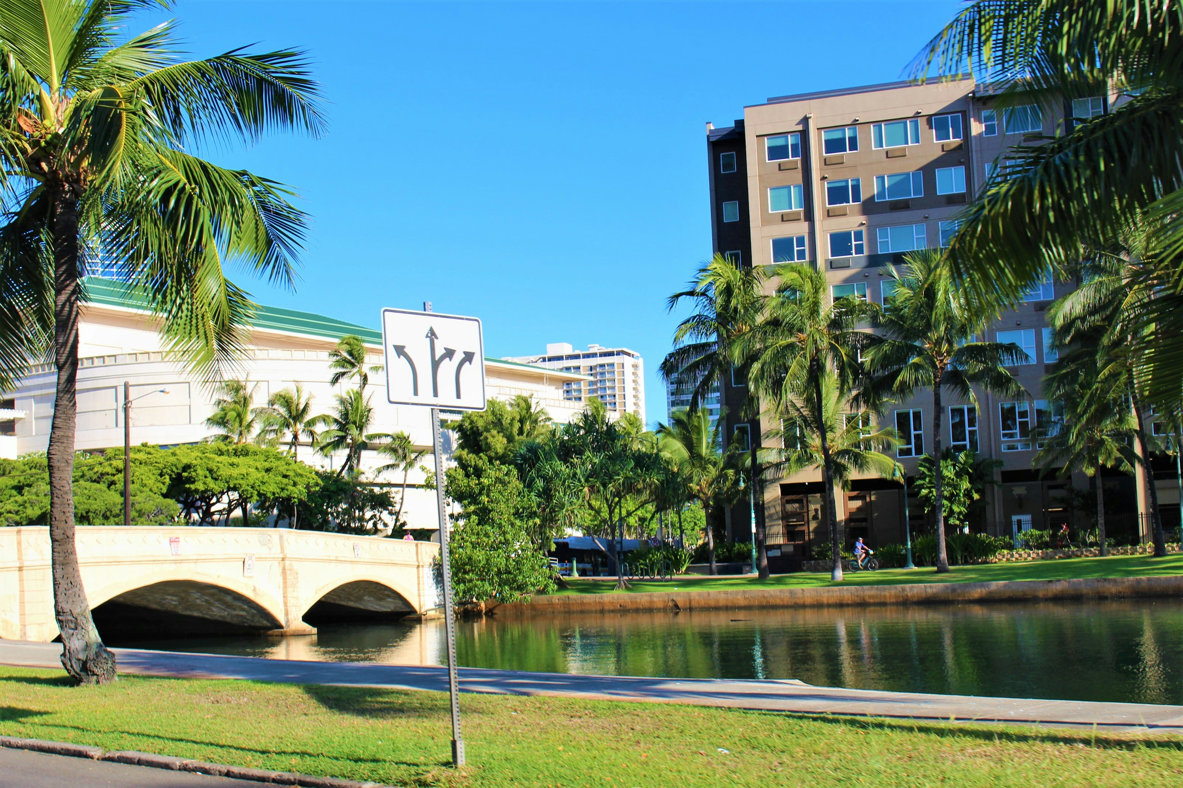 Malersiche Aussicht mit einer Brücke und Palmen unter einem blauen Himmel