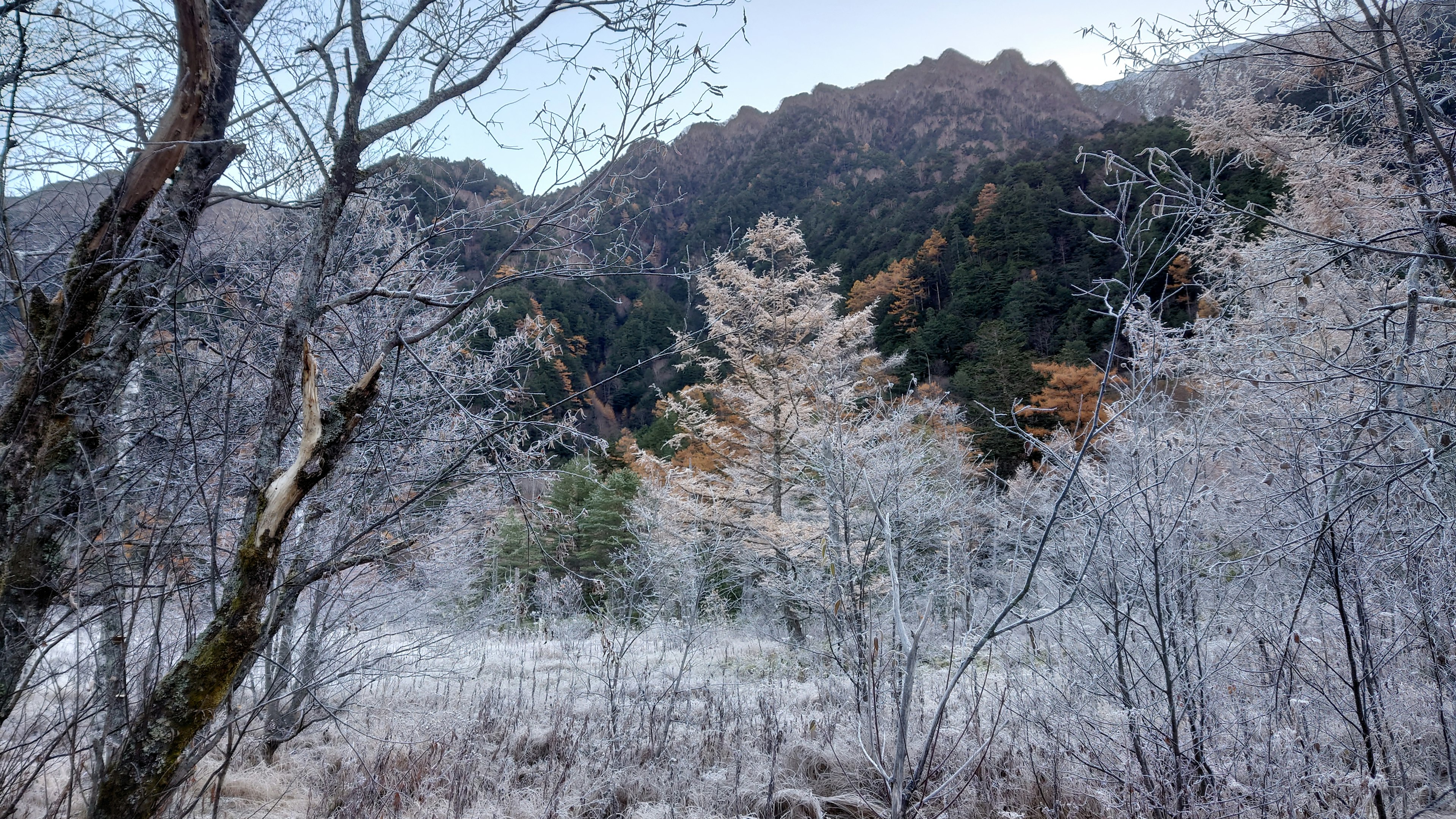 Paisaje montañoso con árboles cubiertos de escarcha