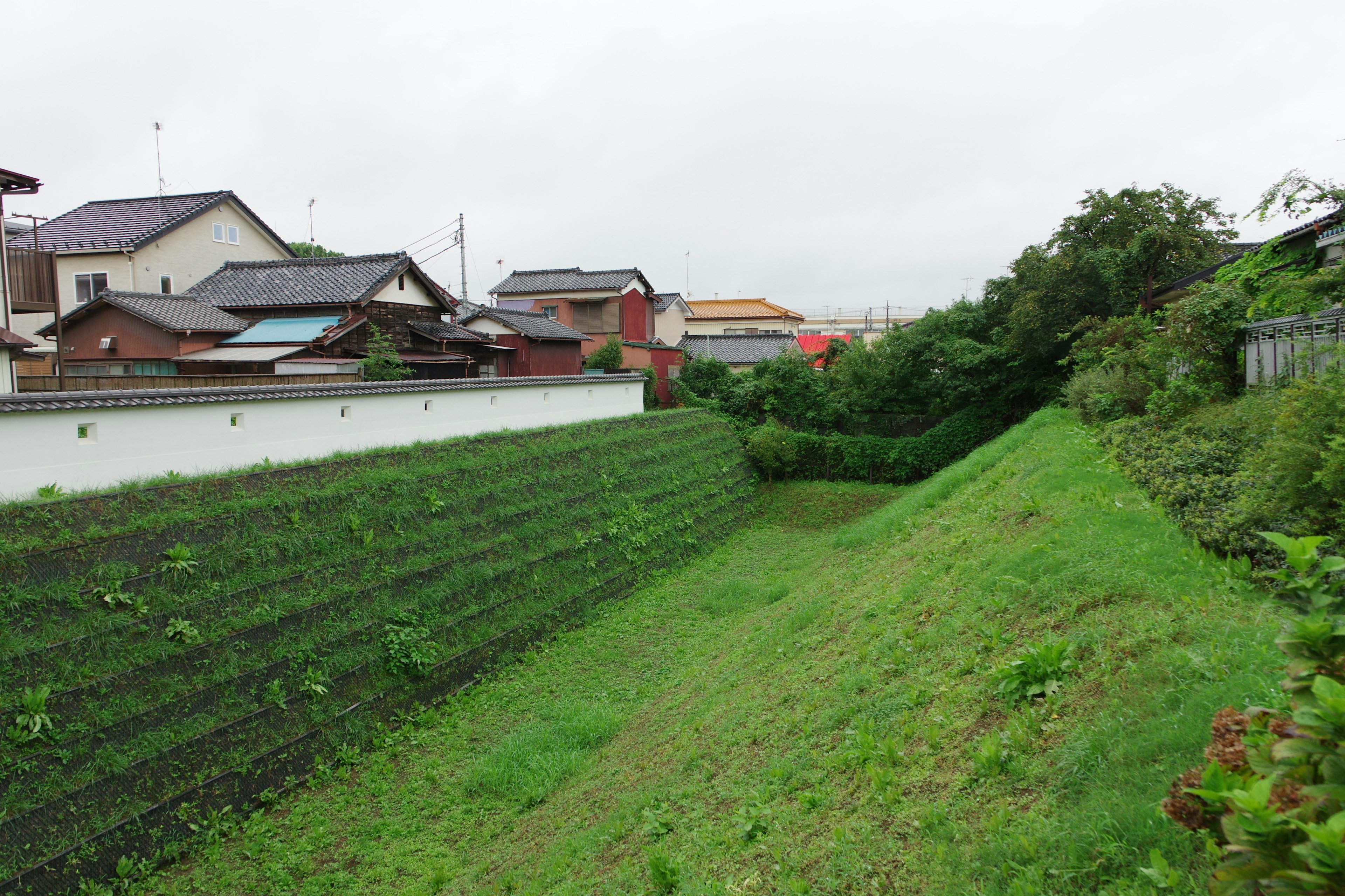 雨の日の緑豊かな傾斜地と周囲の家々の風景