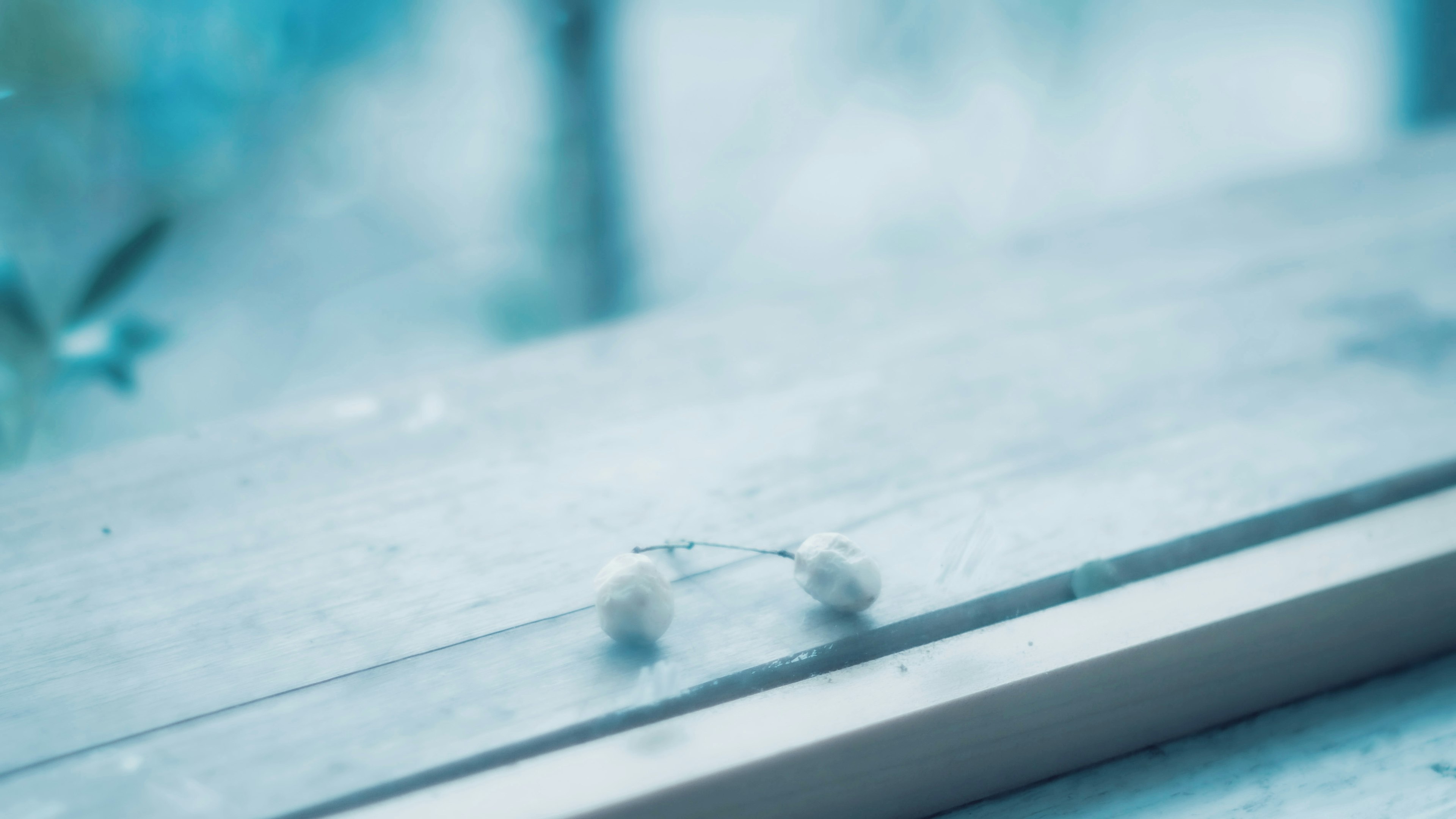 White flower buds on a wooden table with a blue background