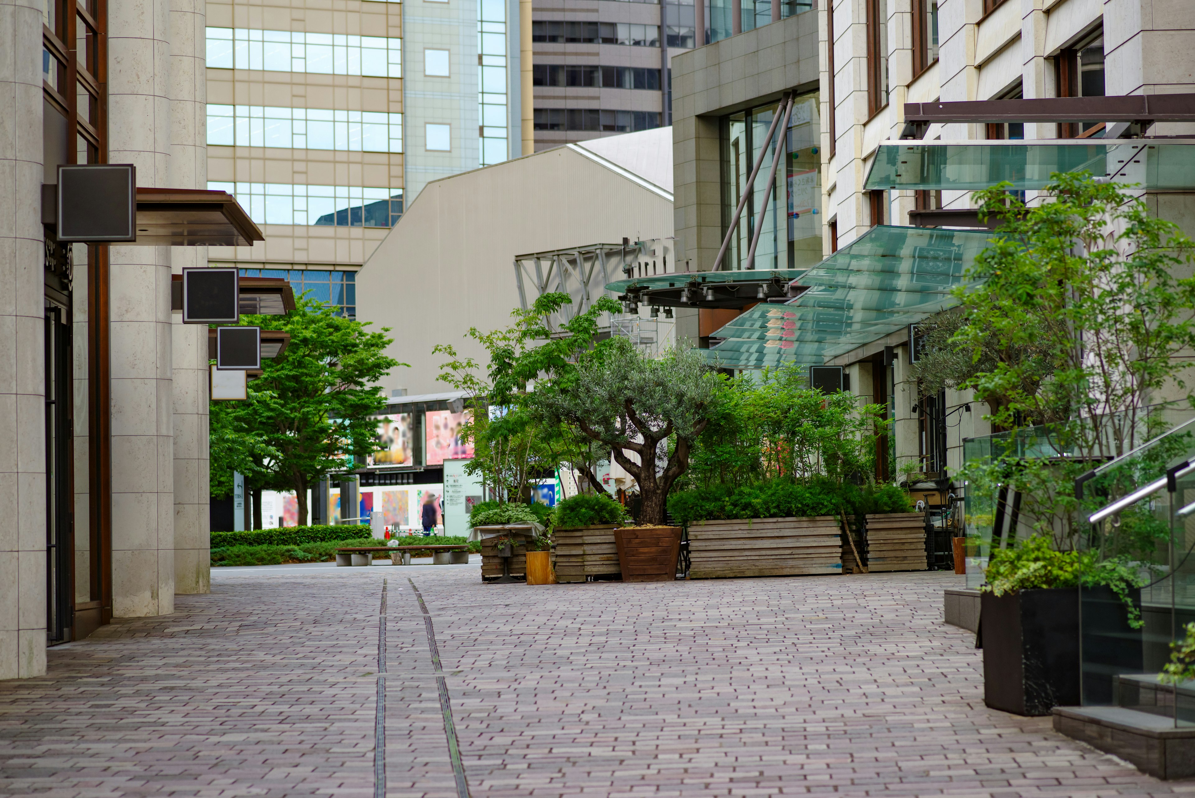 Quiet commercial street with greenery and modern buildings