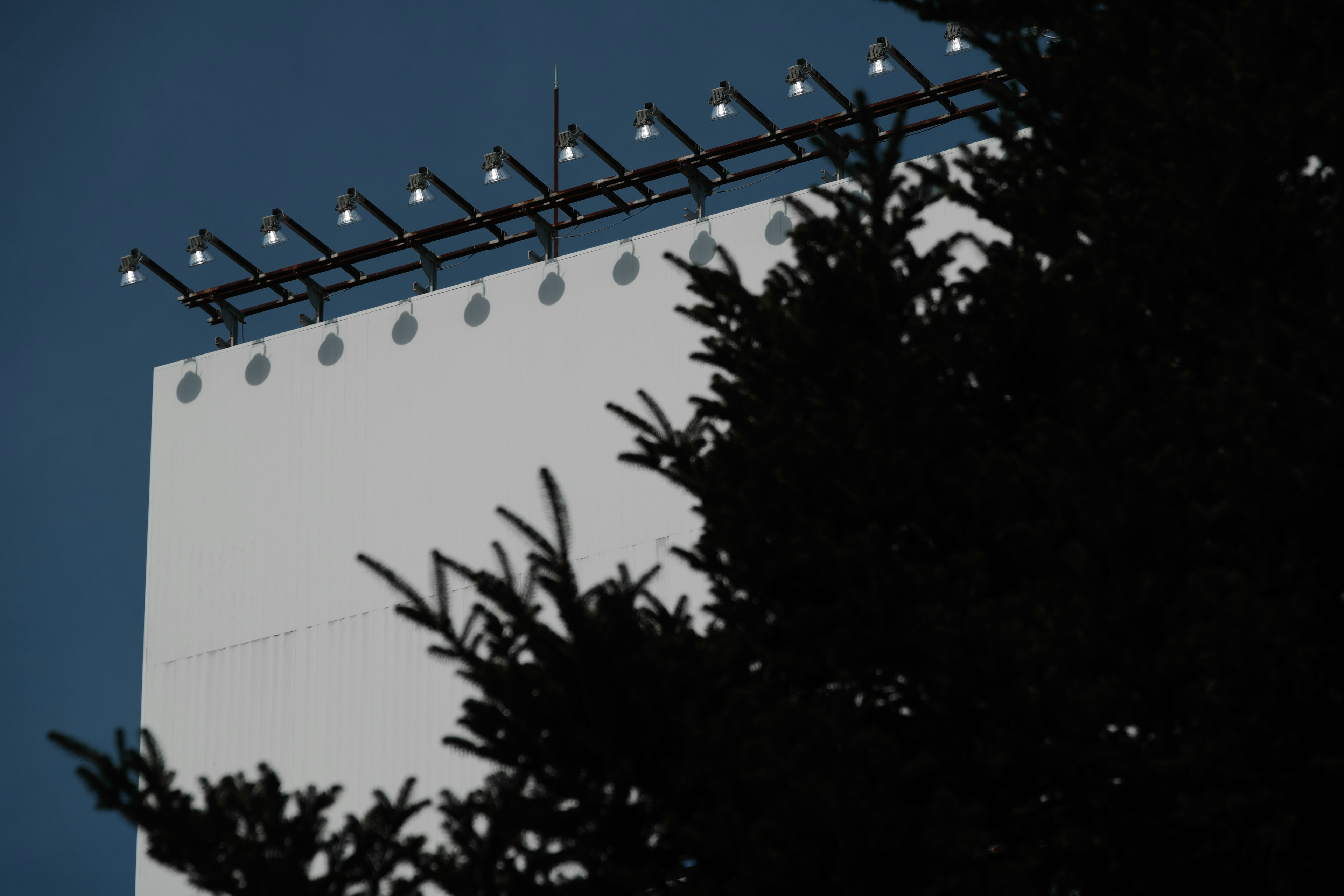 Parte di un cartellone bianco parzialmente oscurato da un albero con luci sopra