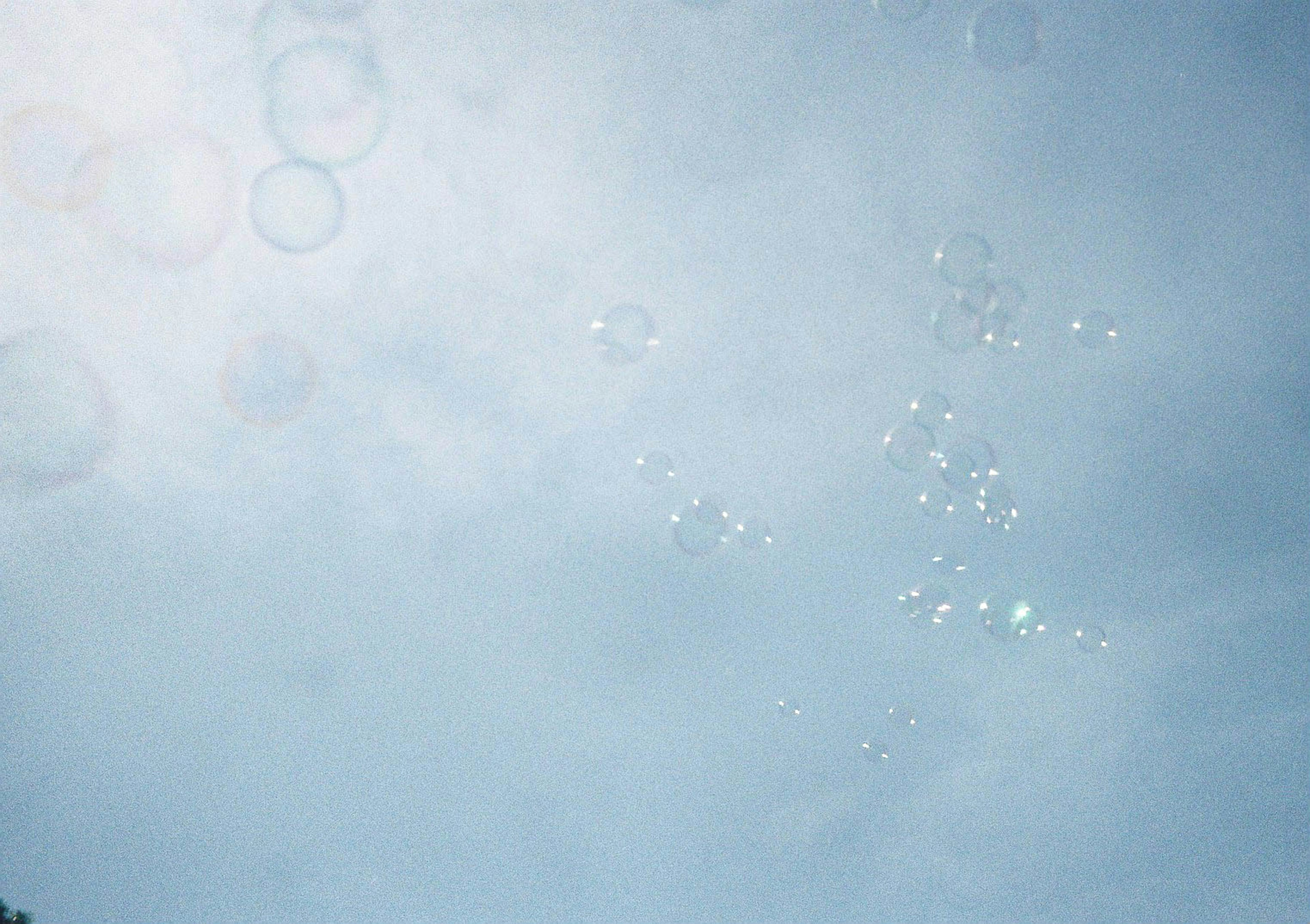 Image of floating bubbles against a soft blue background