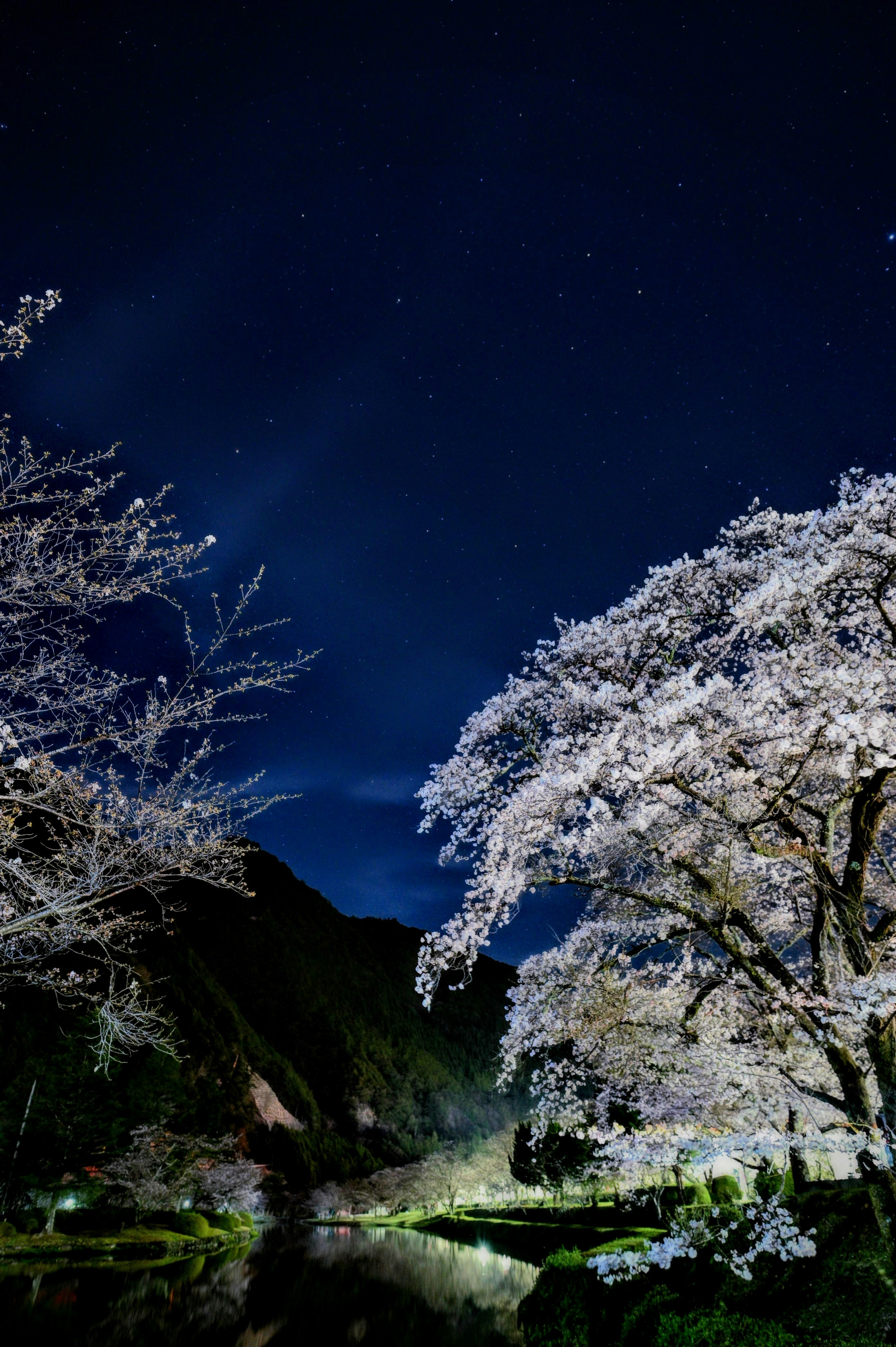 綺羅星夜 ページ 綺羅星紙 夜光（濃紺＋銀虹箔） - Lagrange（ラグランジュ）