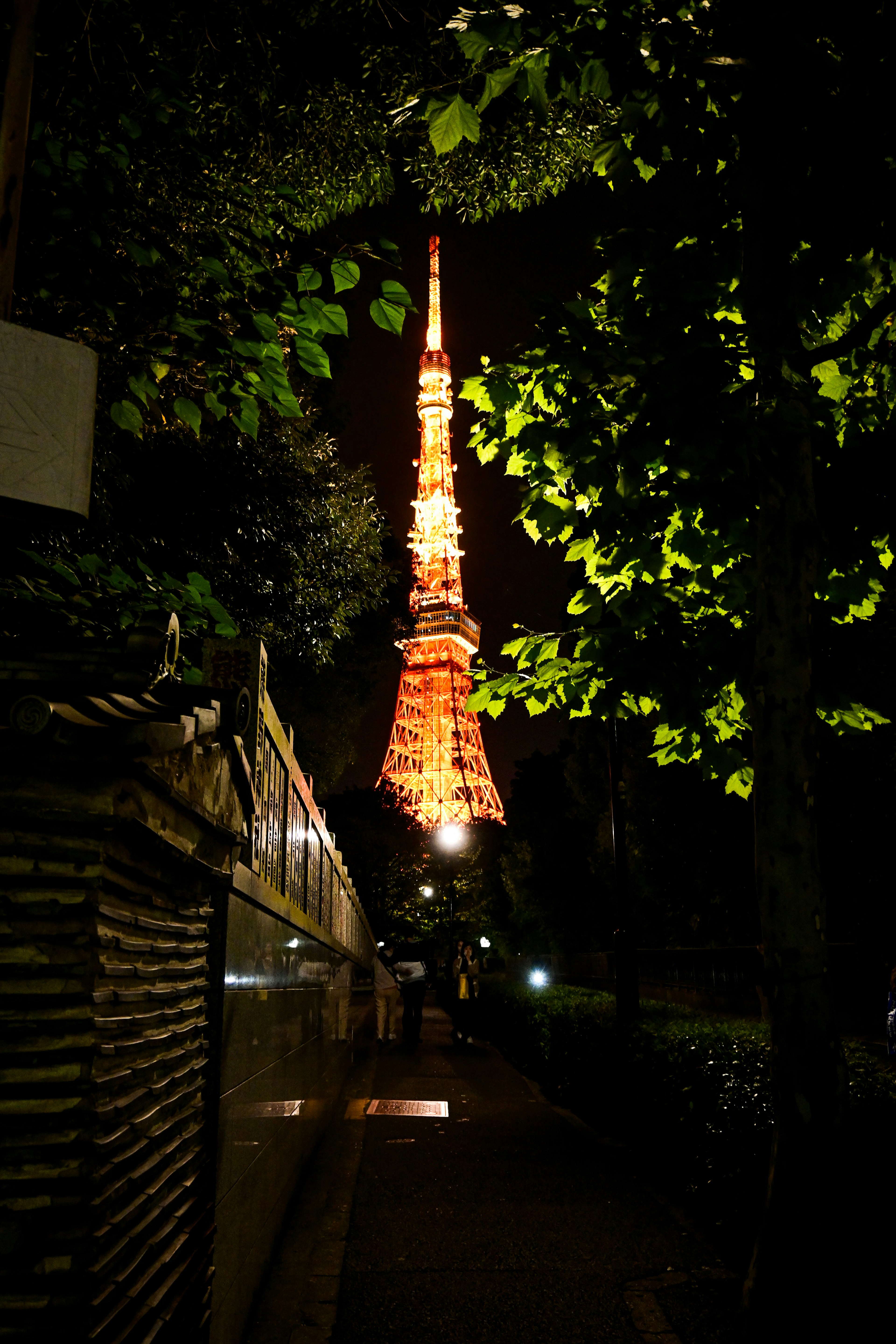 A view of Tokyo Tower illuminated at night surrounded by greenery