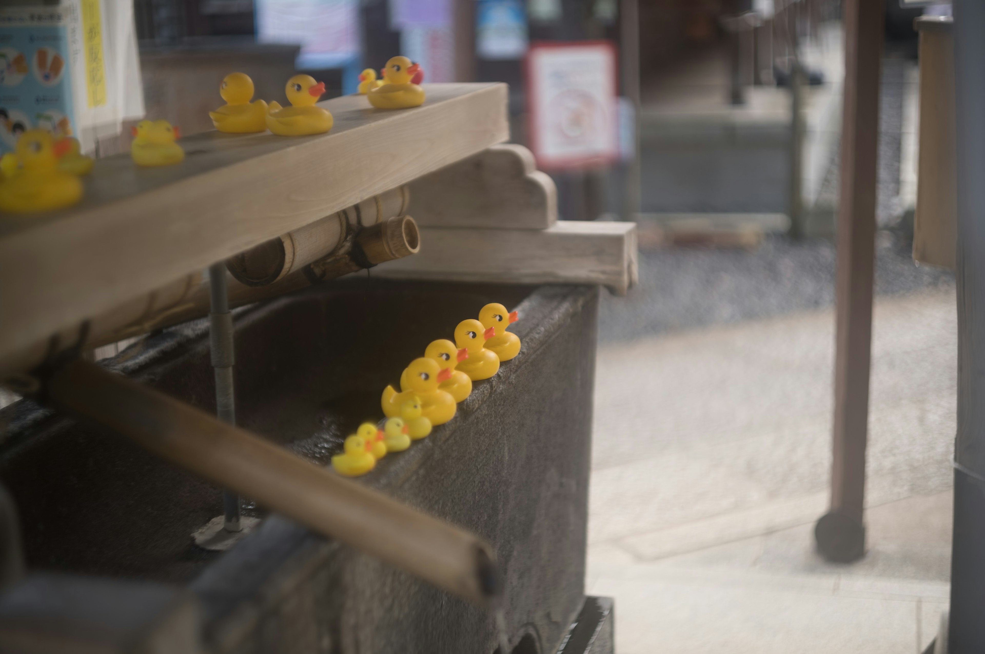 Una escena con una fila de patitos de goma amarillos