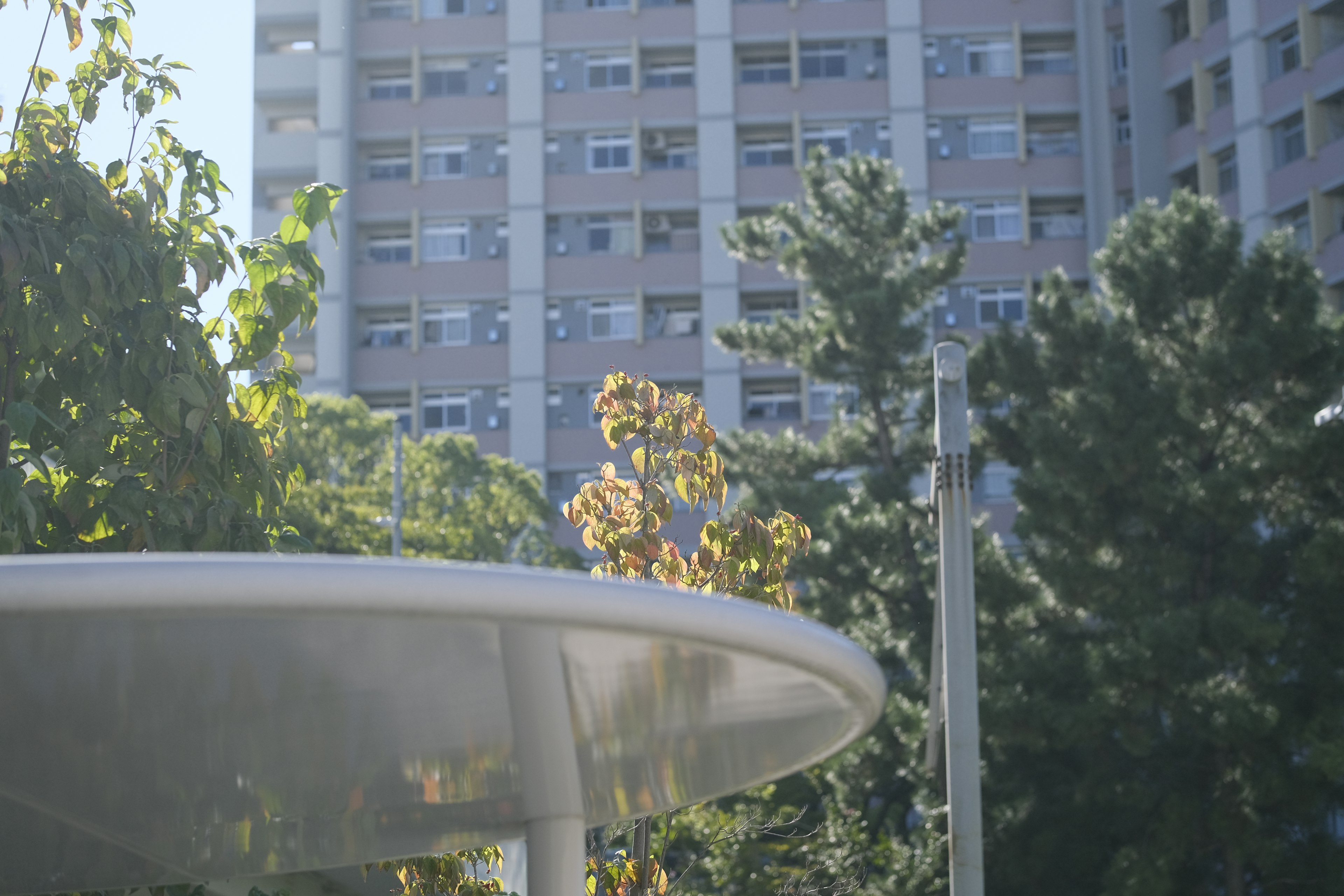 Vista del parco con vegetazione e un edificio alto sullo sfondo