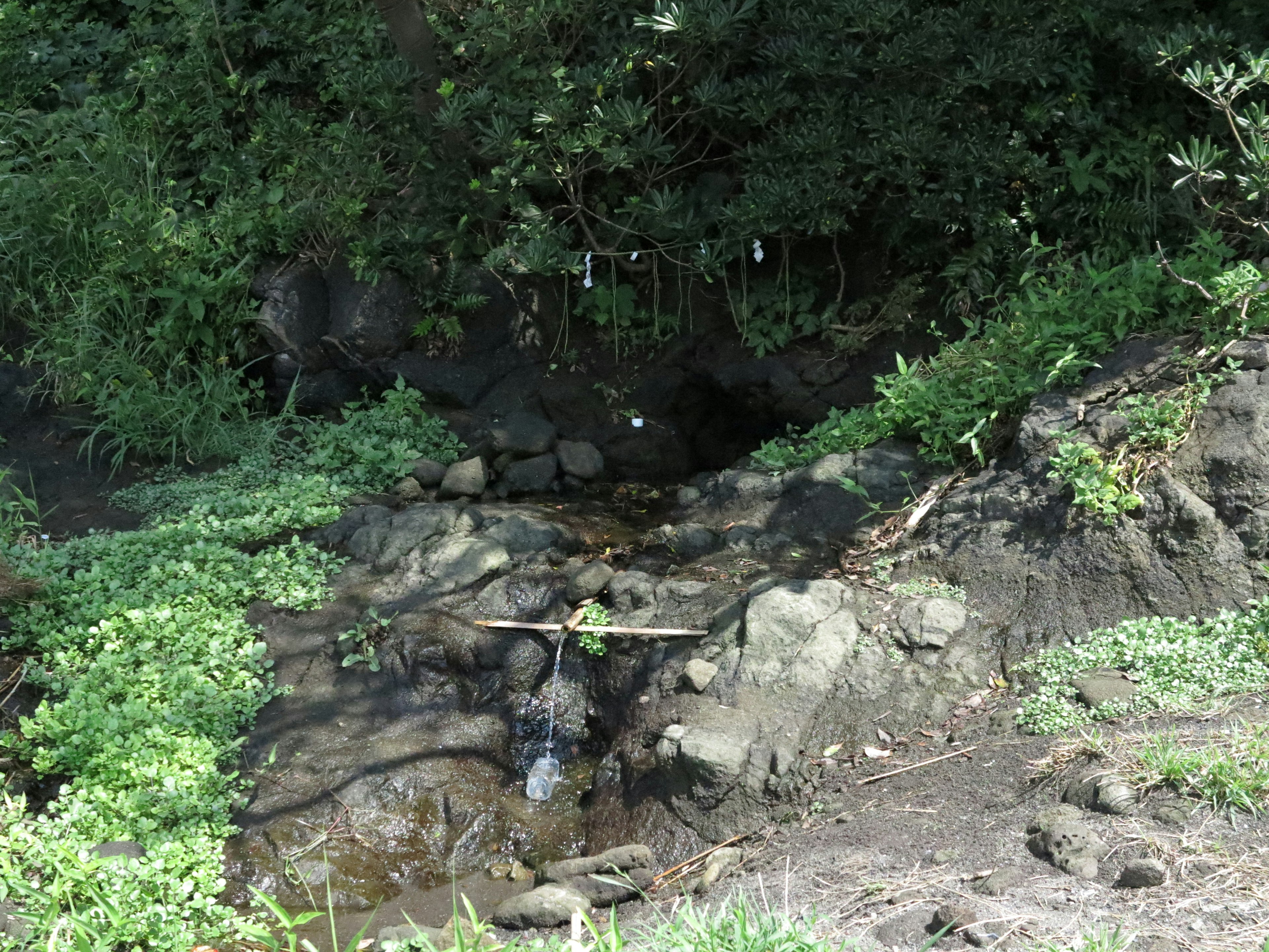 Un petit ruisseau coulant à travers un terrain rocheux entouré de verdure luxuriante